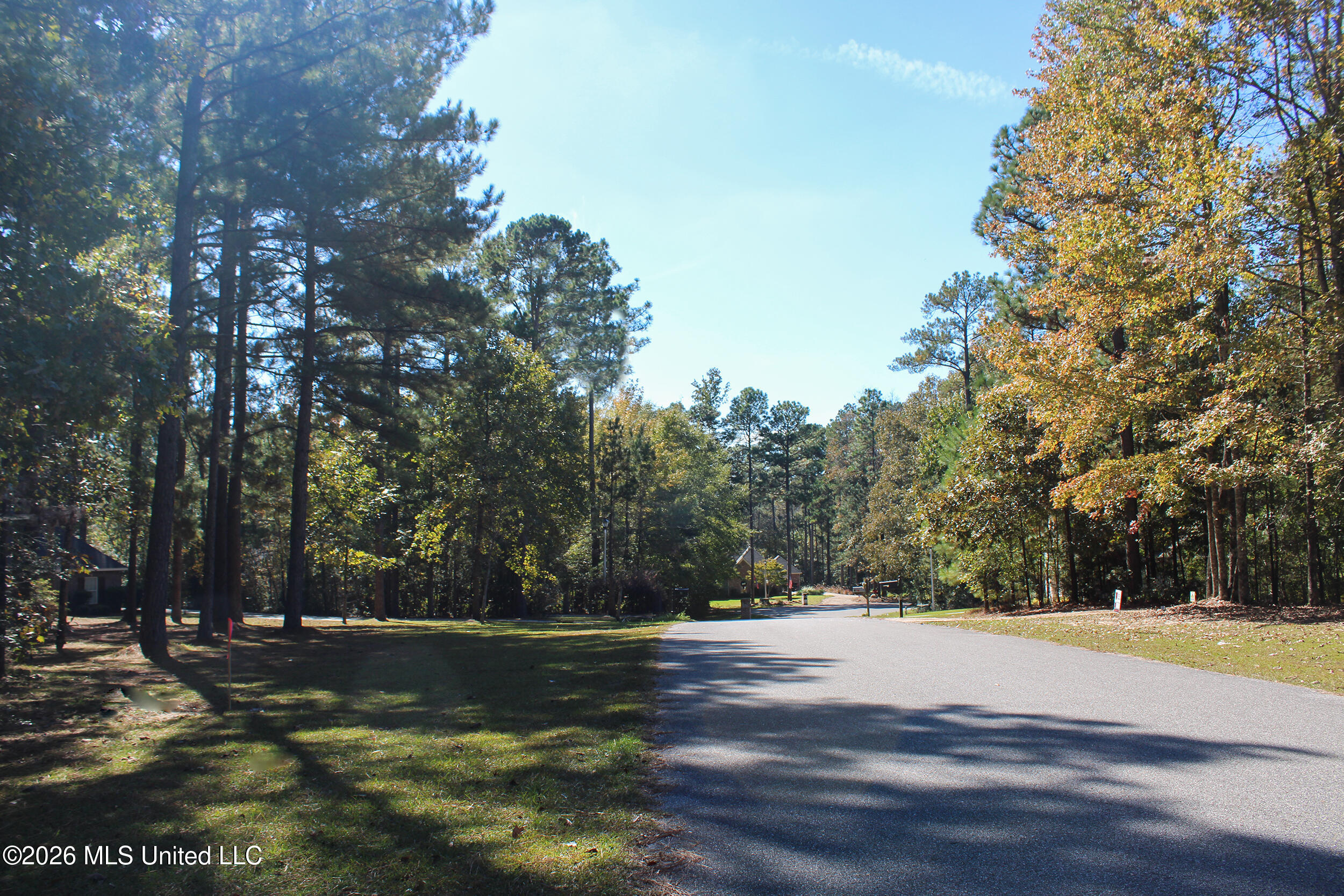 Marshal Place Property Photo 4