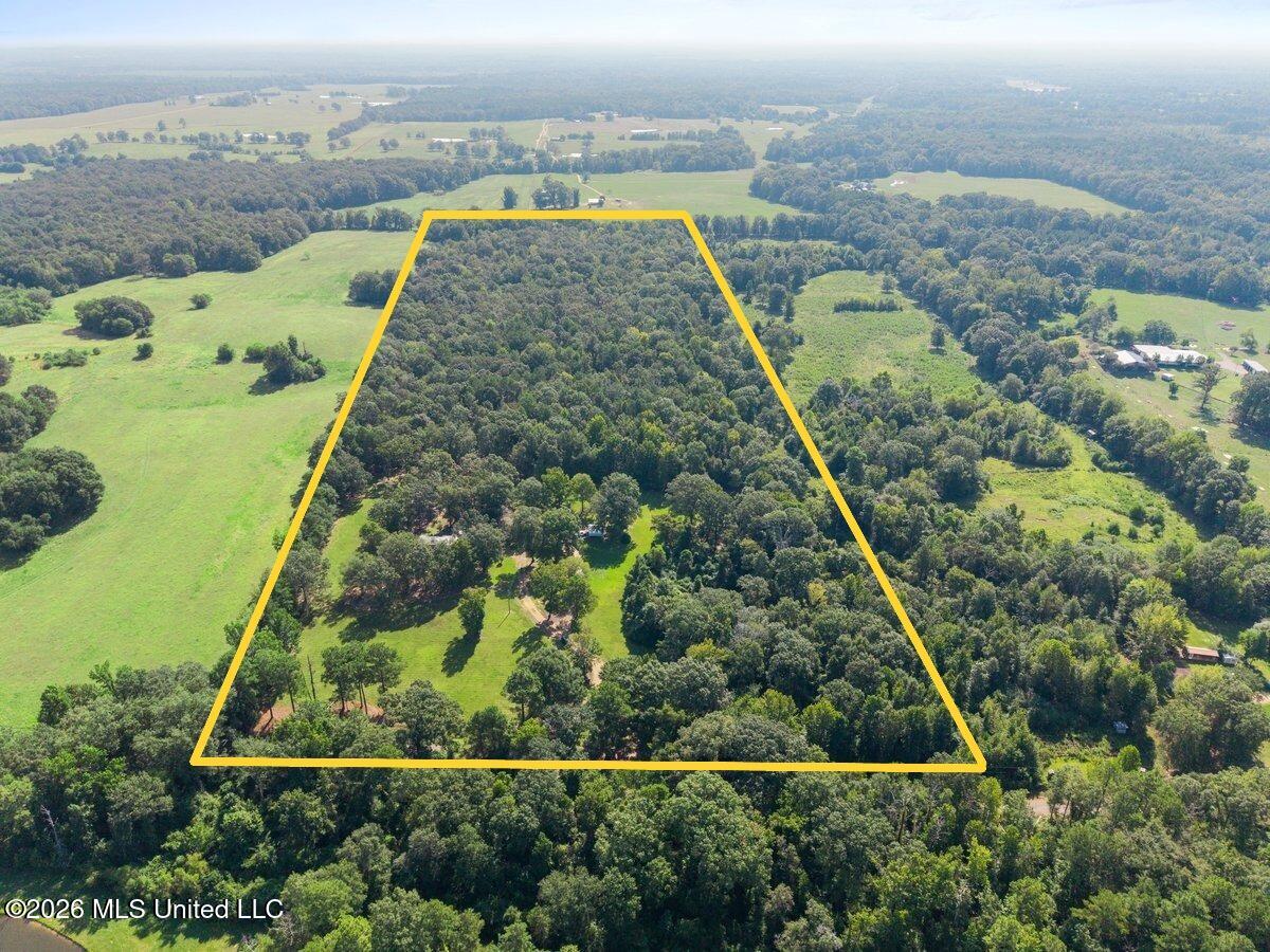 1236 Jack Johnson Road Property Photo 2