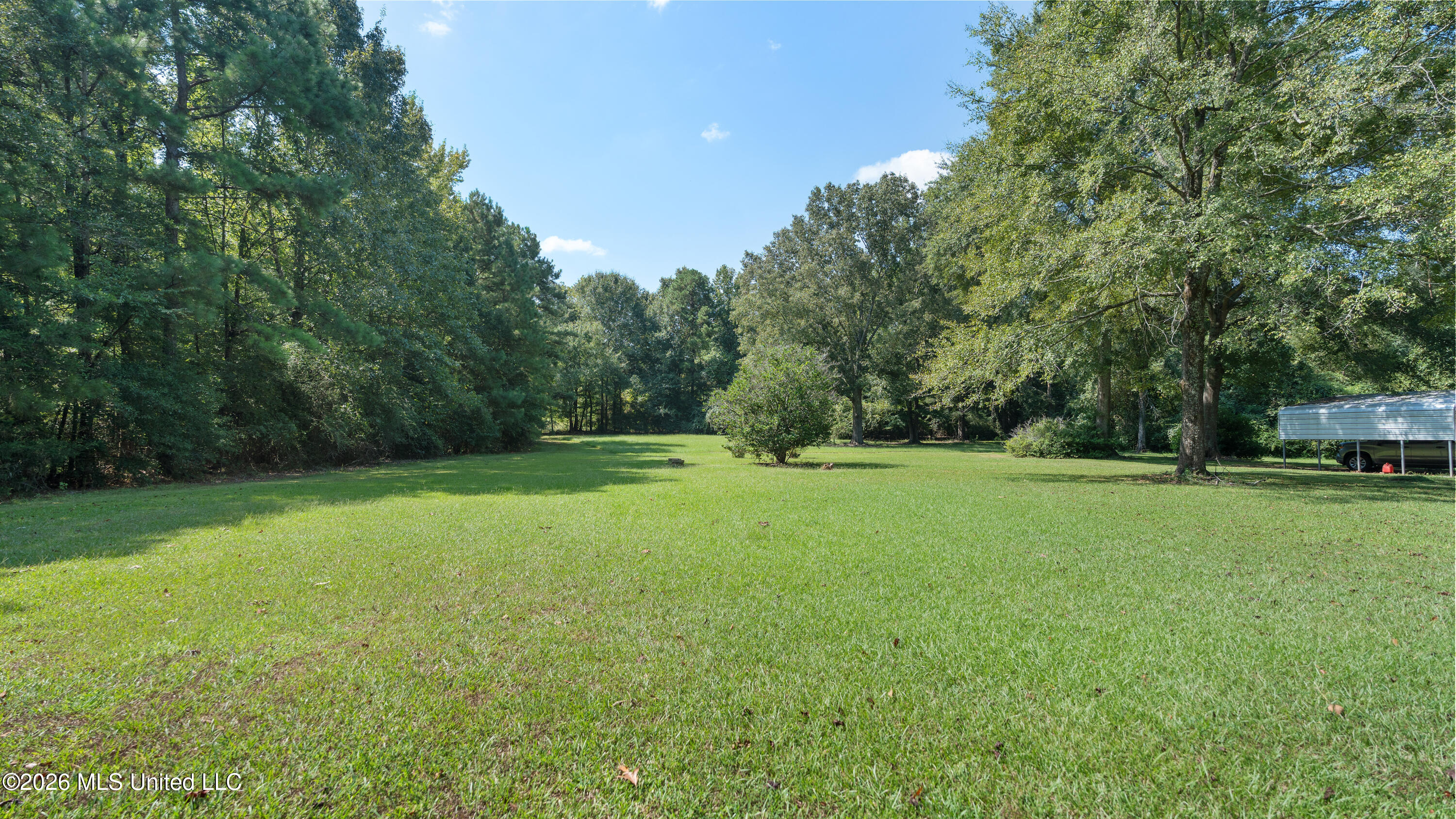 1236 Jack Johnson Road Property Photo 26