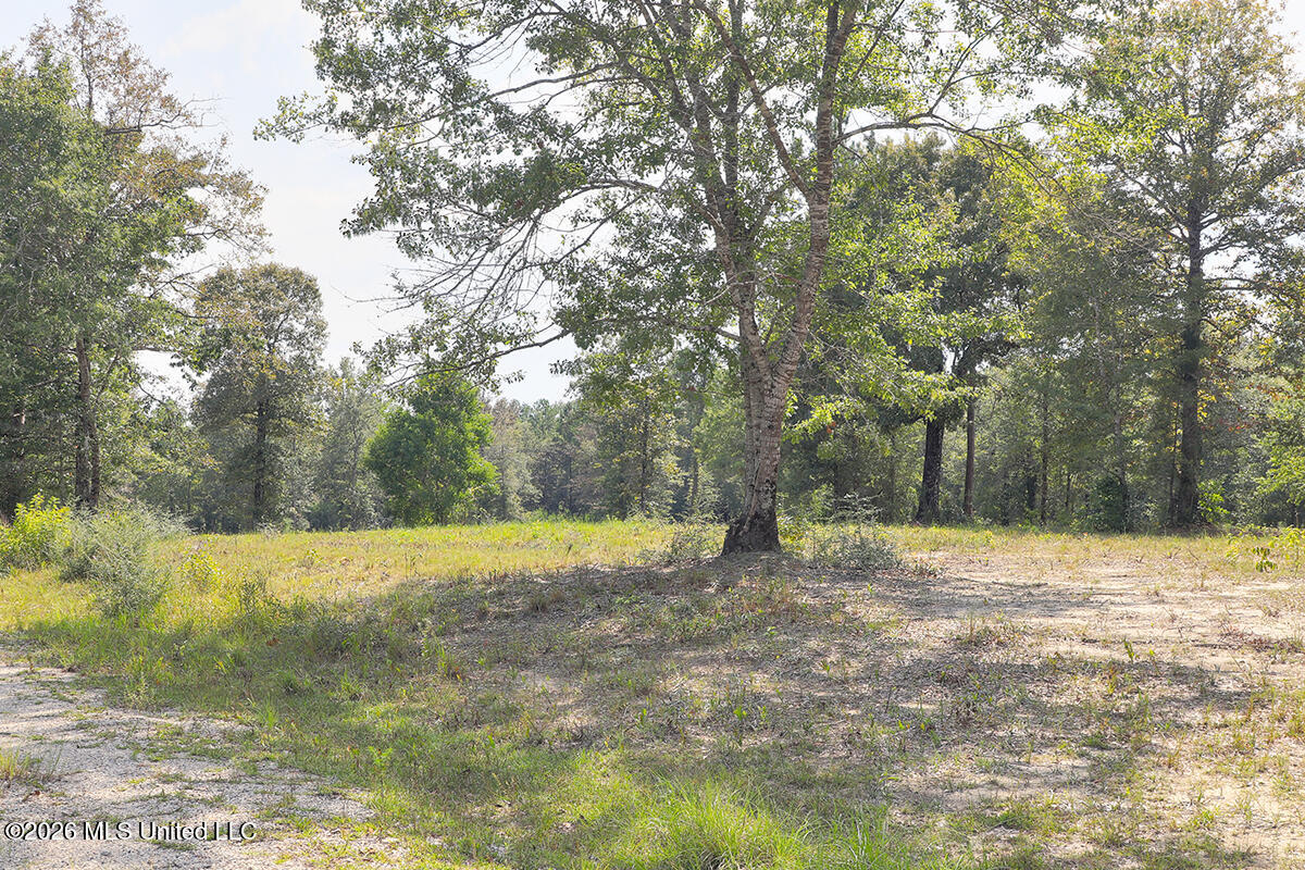 14481 E Wortham Road Property Photo 7