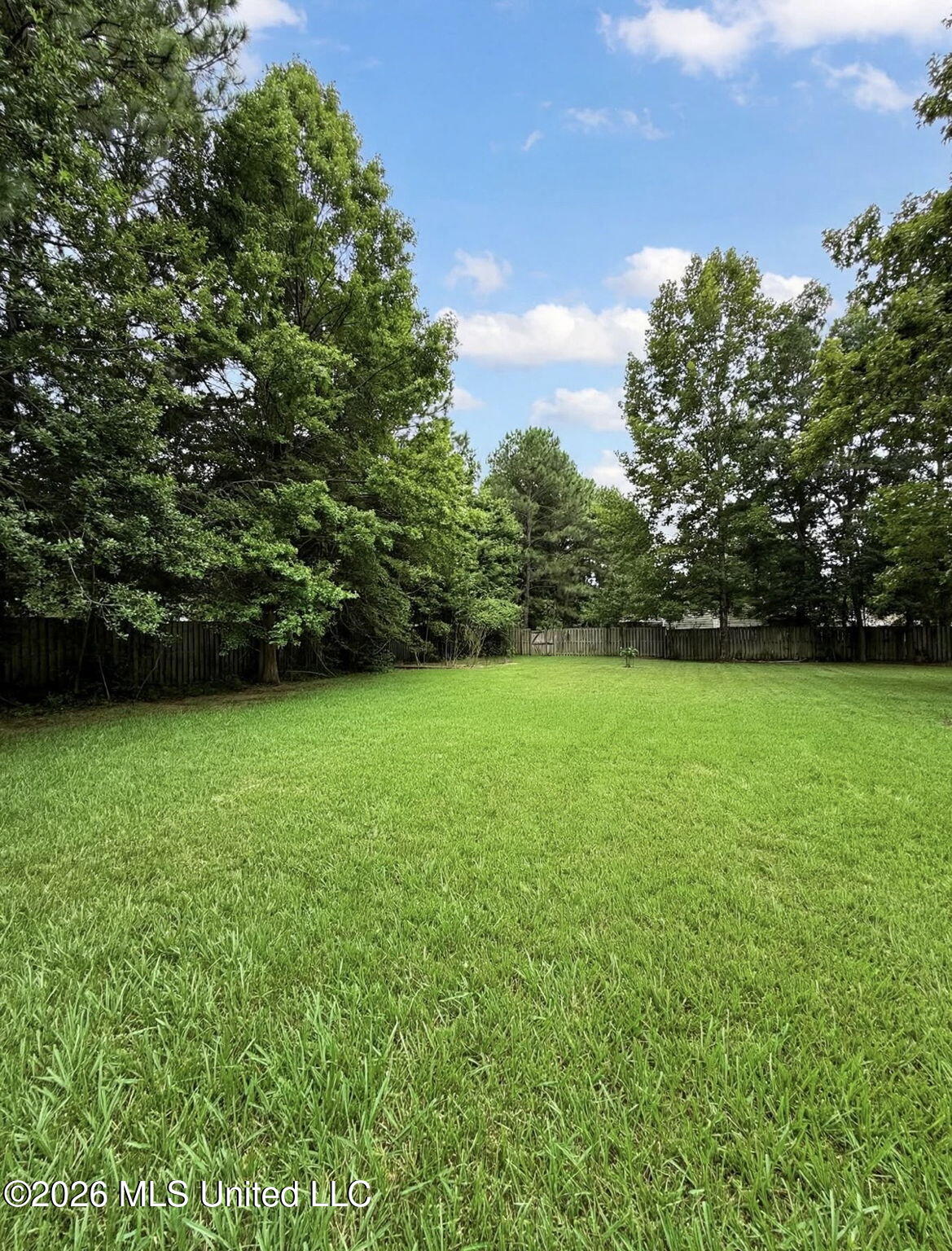 15909 Belmont Drive Property Photo 36