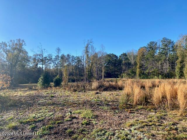 1169 Ole Springs Road Property Photo 1