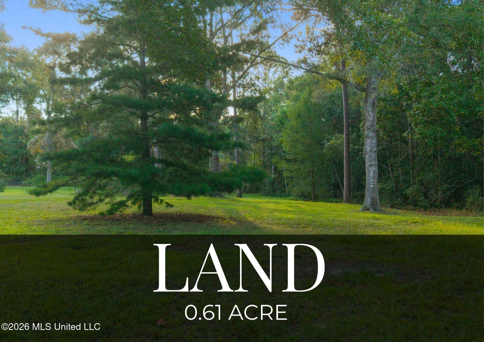 0 Old Shell Landing Road Property Photo 1