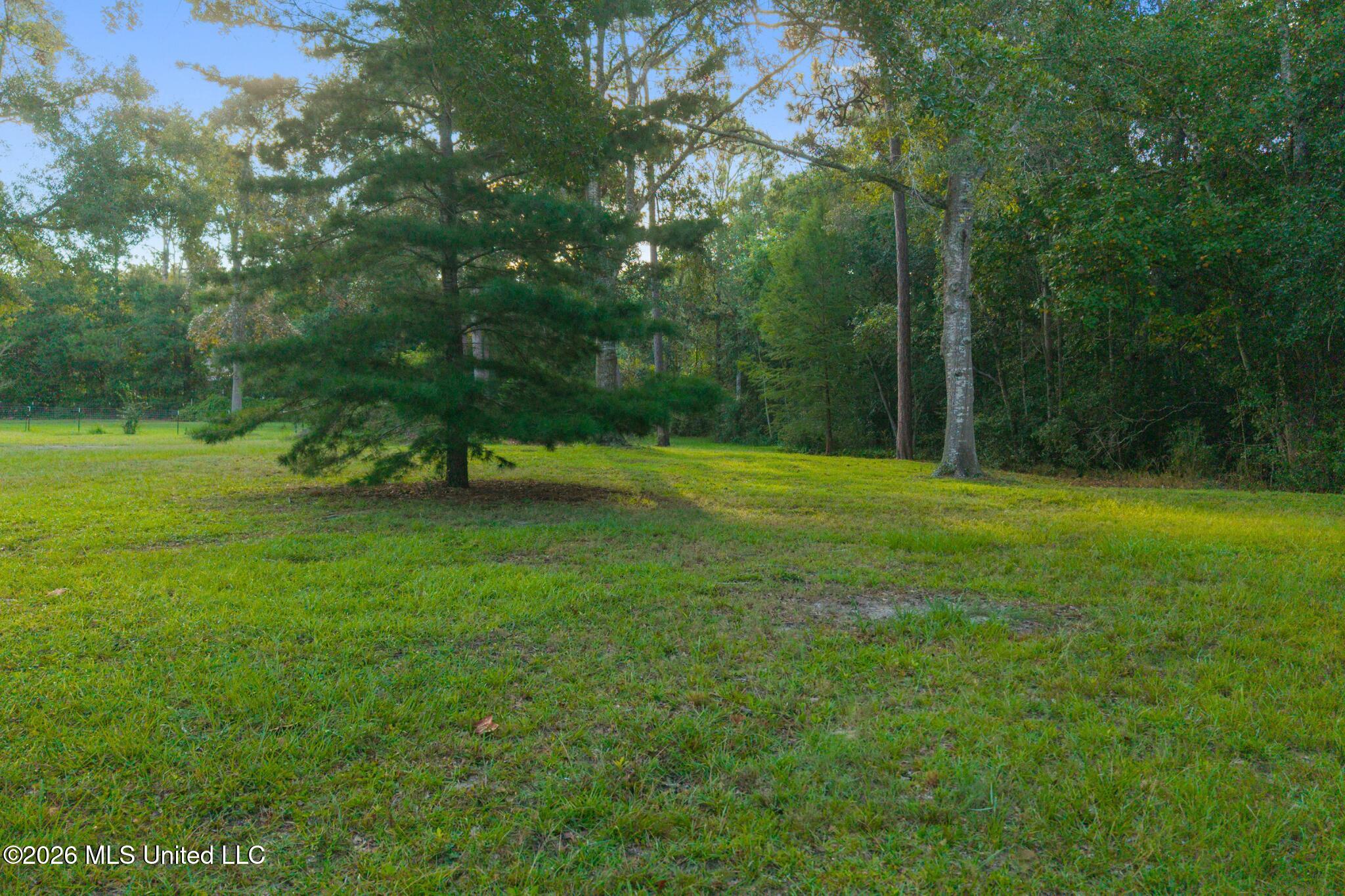 0 Old Shell Landing Road Property Photo 2