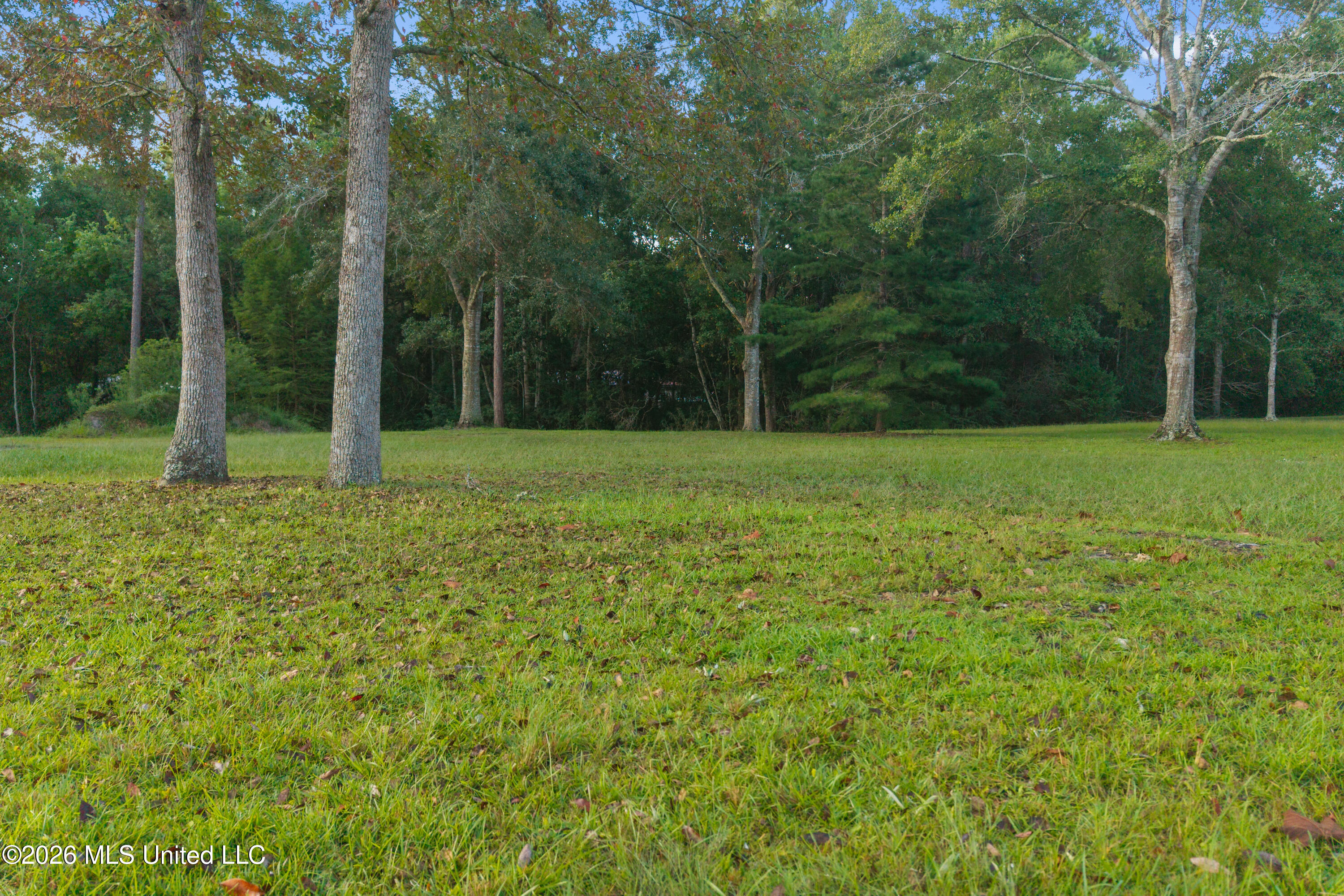 0 Old Shell Landing Road Property Photo 4