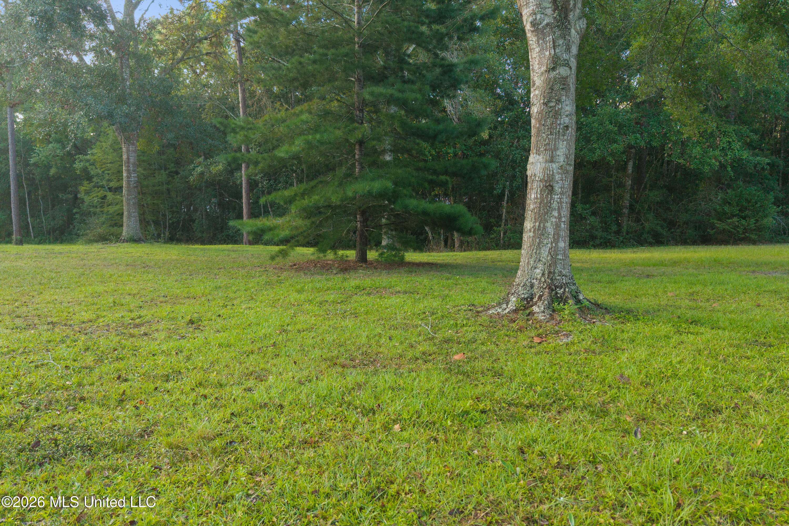 0 Old Shell Landing Road Property Photo 5