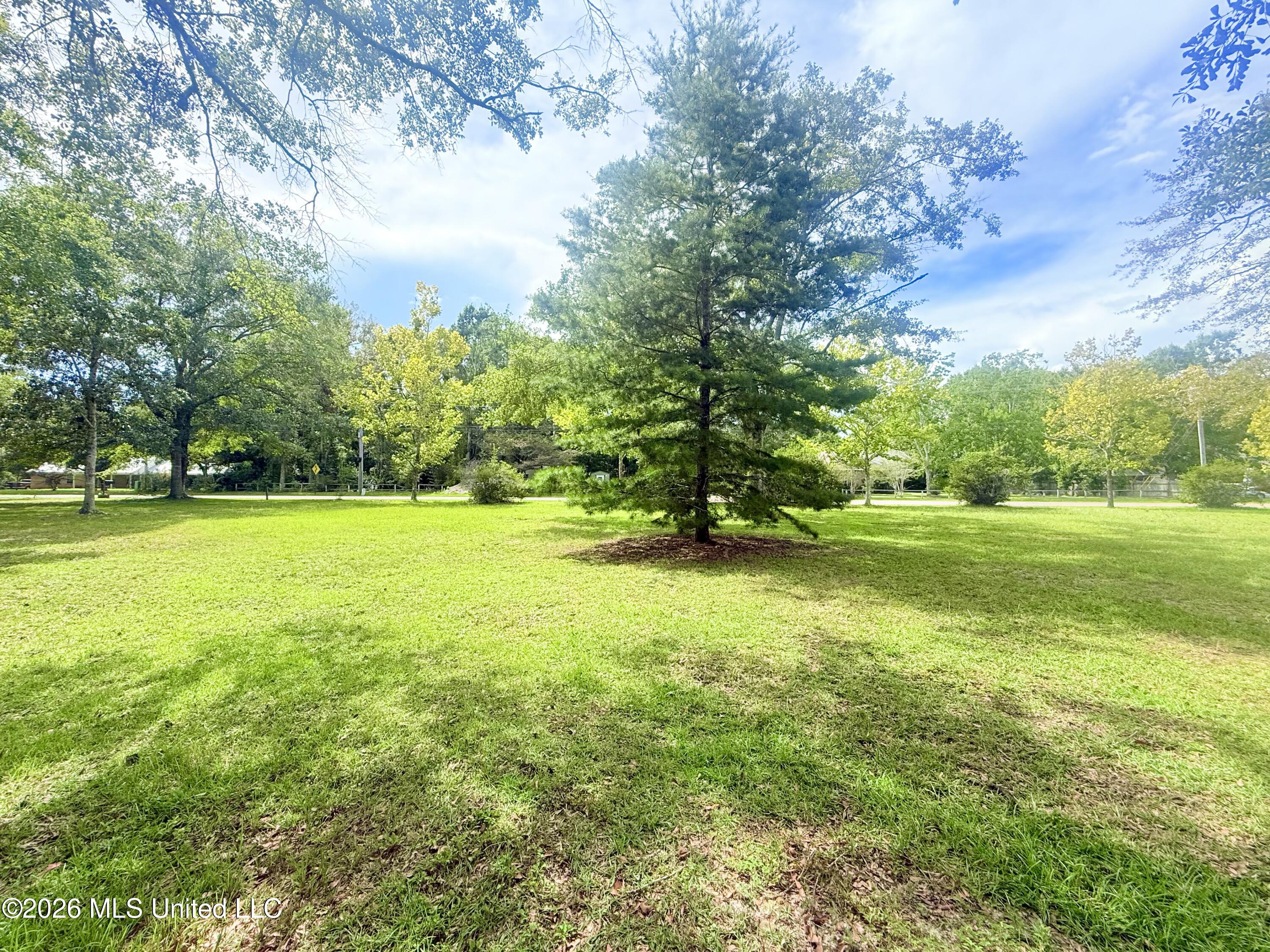 0 Old Shell Landing Road Property Photo 7