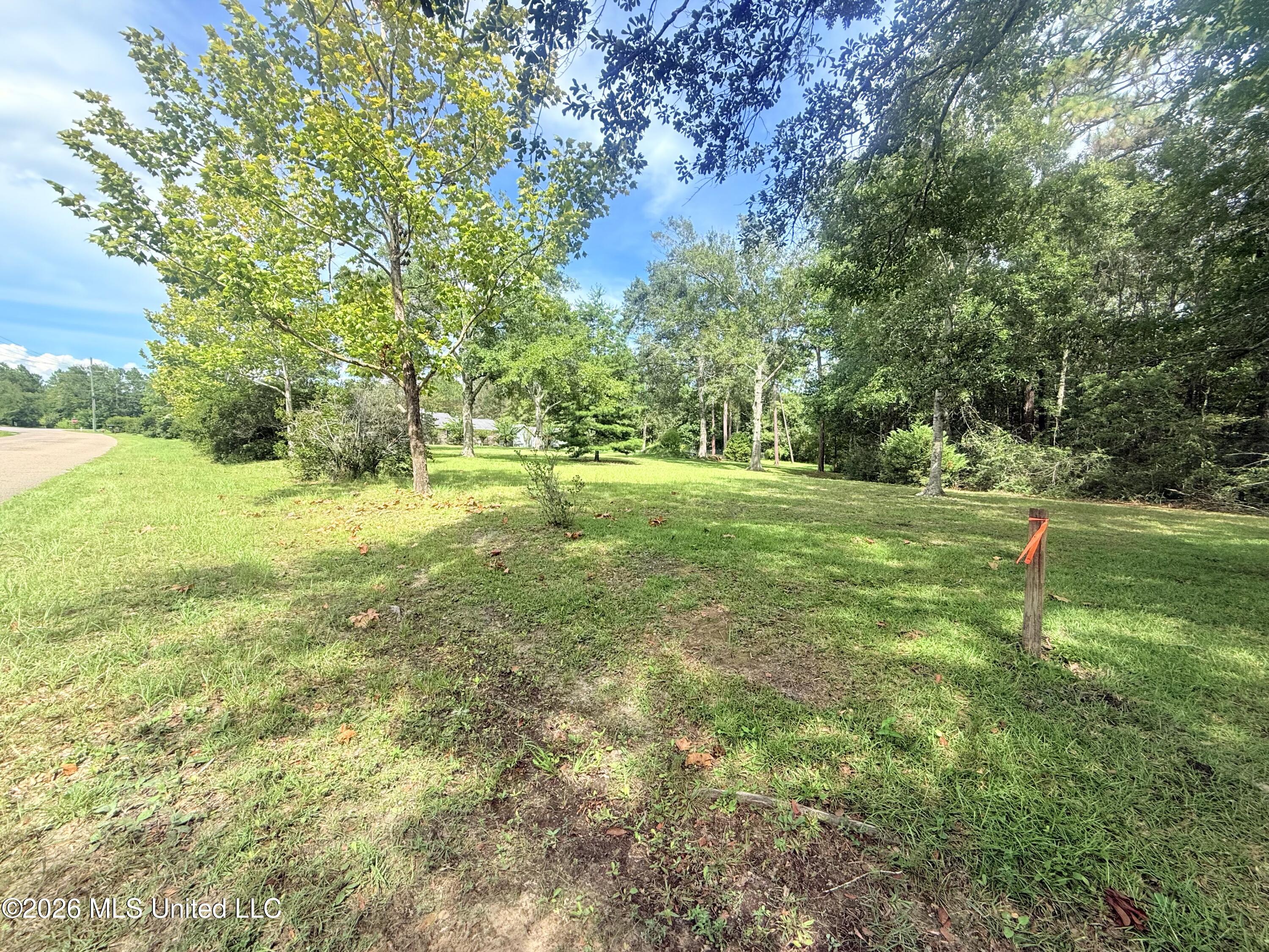 0 Old Shell Landing Road Property Photo 8