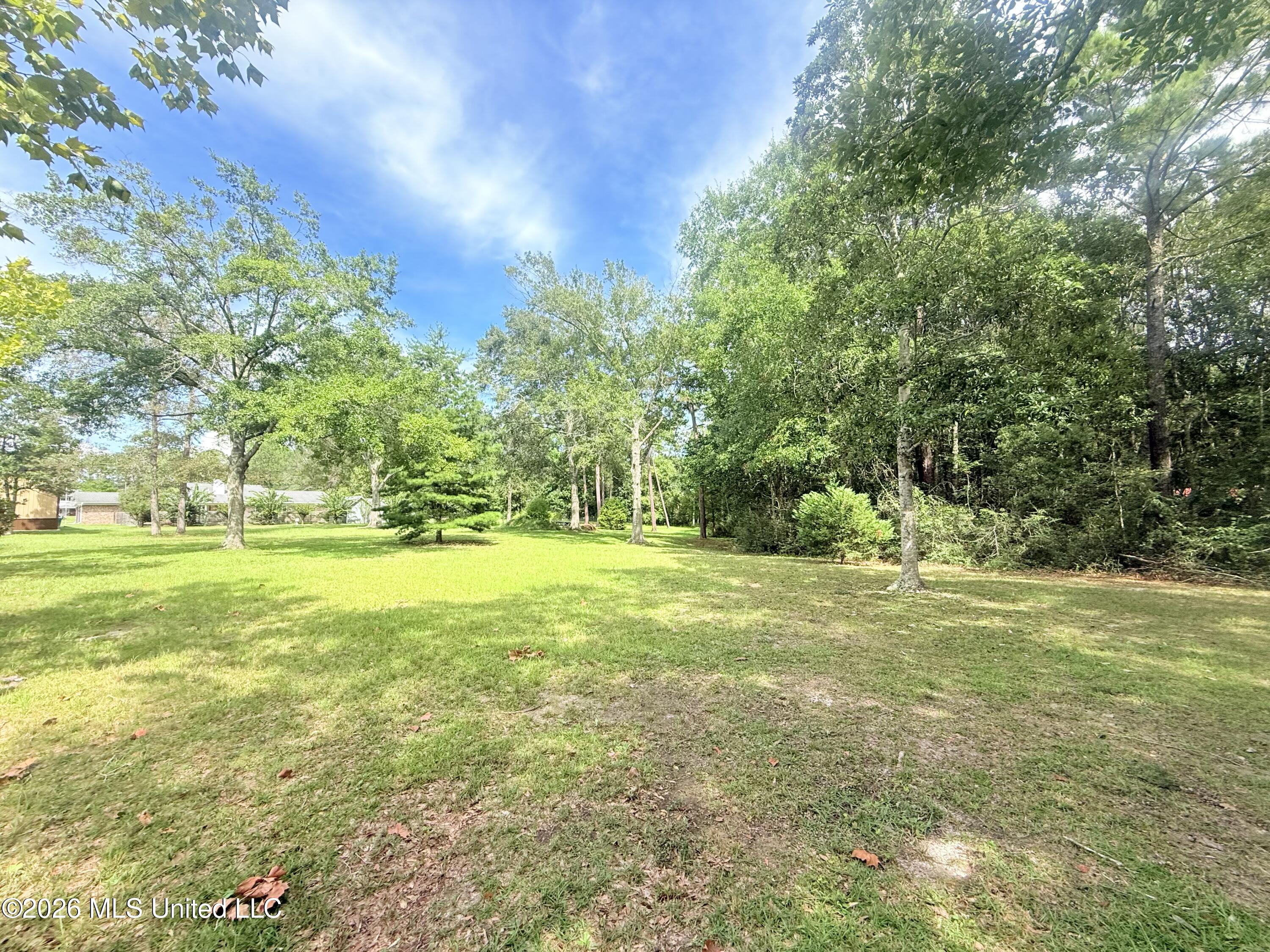0 Old Shell Landing Road Property Photo 9