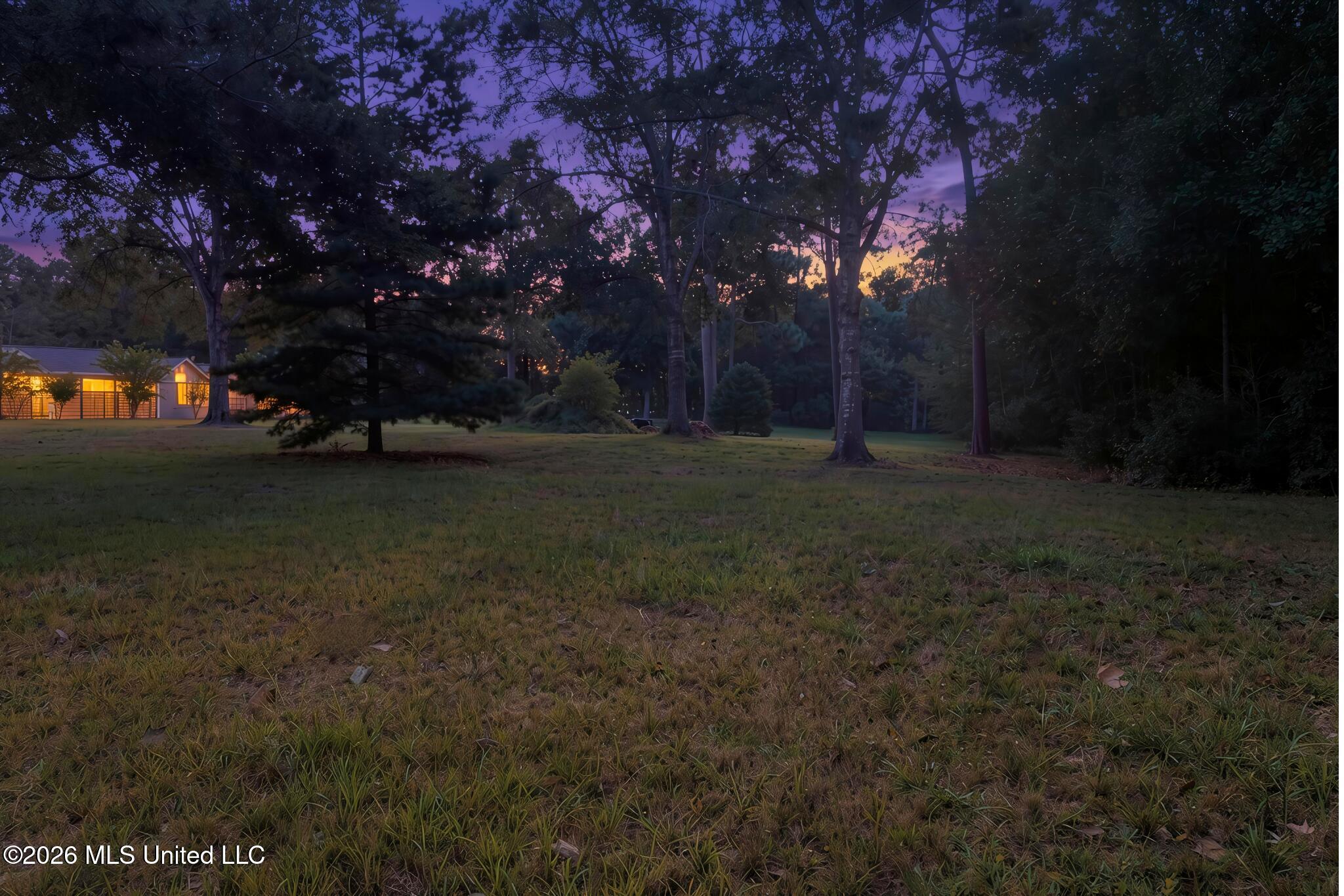 0 Old Shell Landing Road Property Photo 12