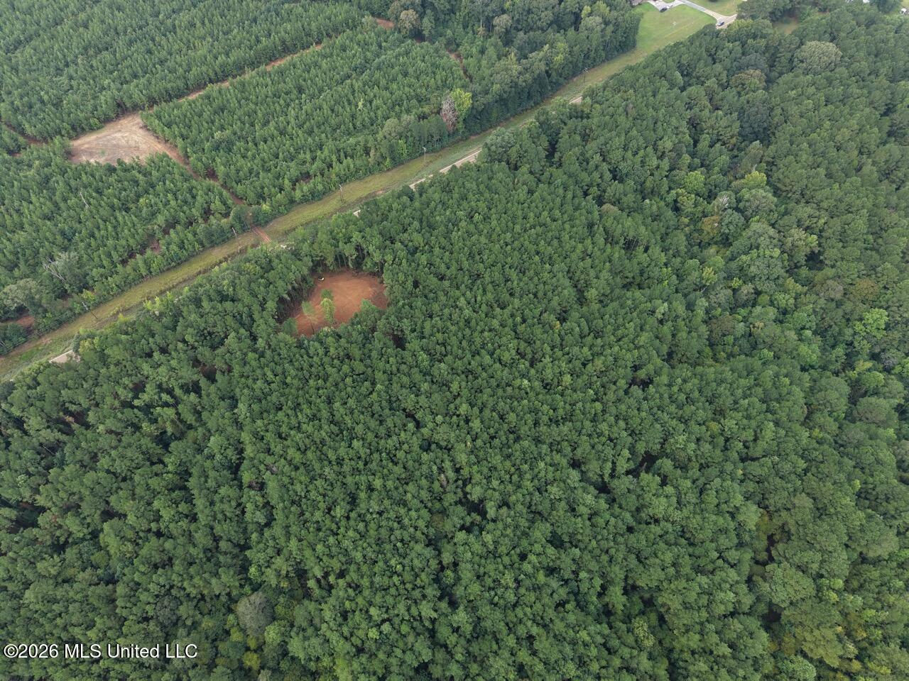 11853 Highway 24 Property Photo 4