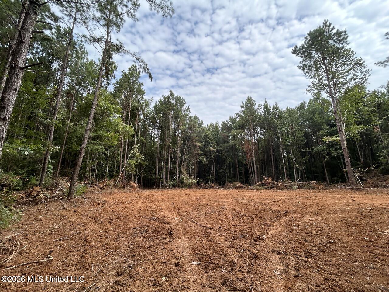 11853 Highway 24 Property Photo 10