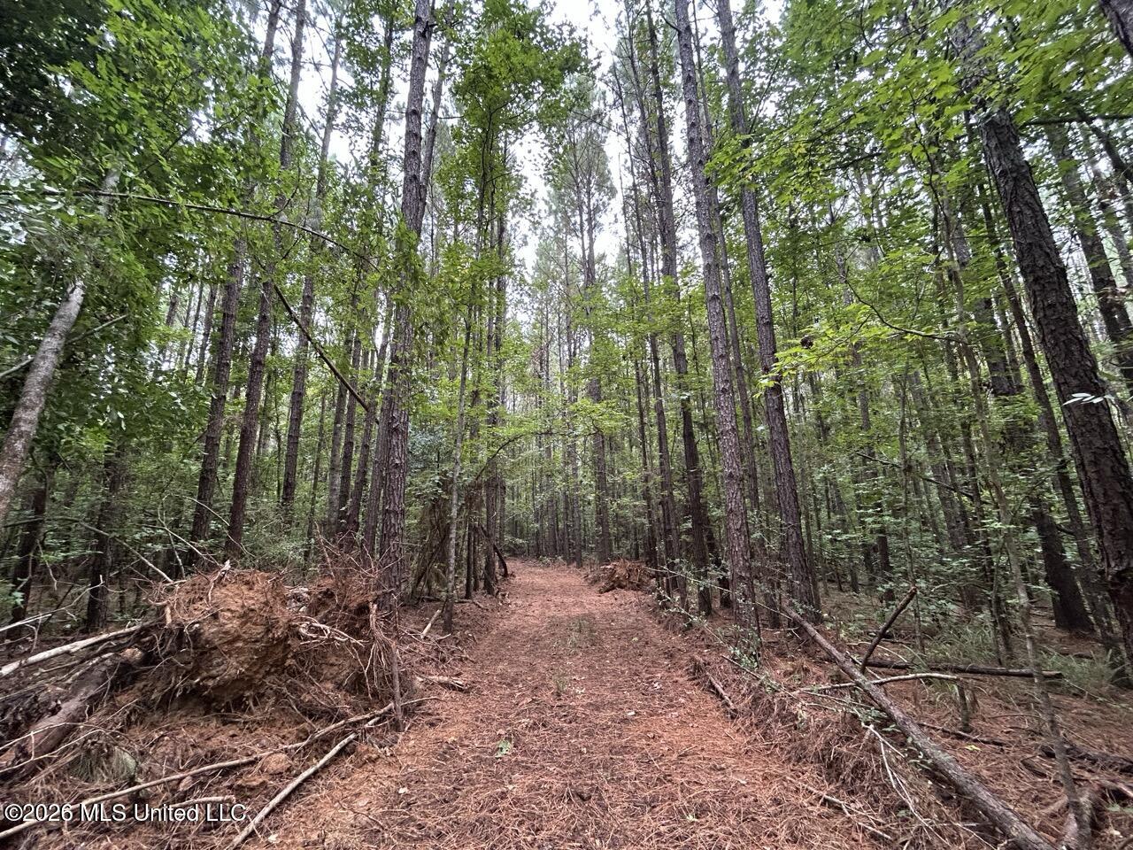 11853 Highway 24 Property Photo 11