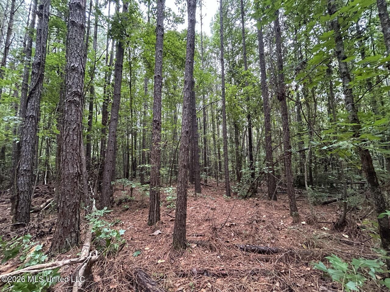 11853 Highway 24 Property Photo 12