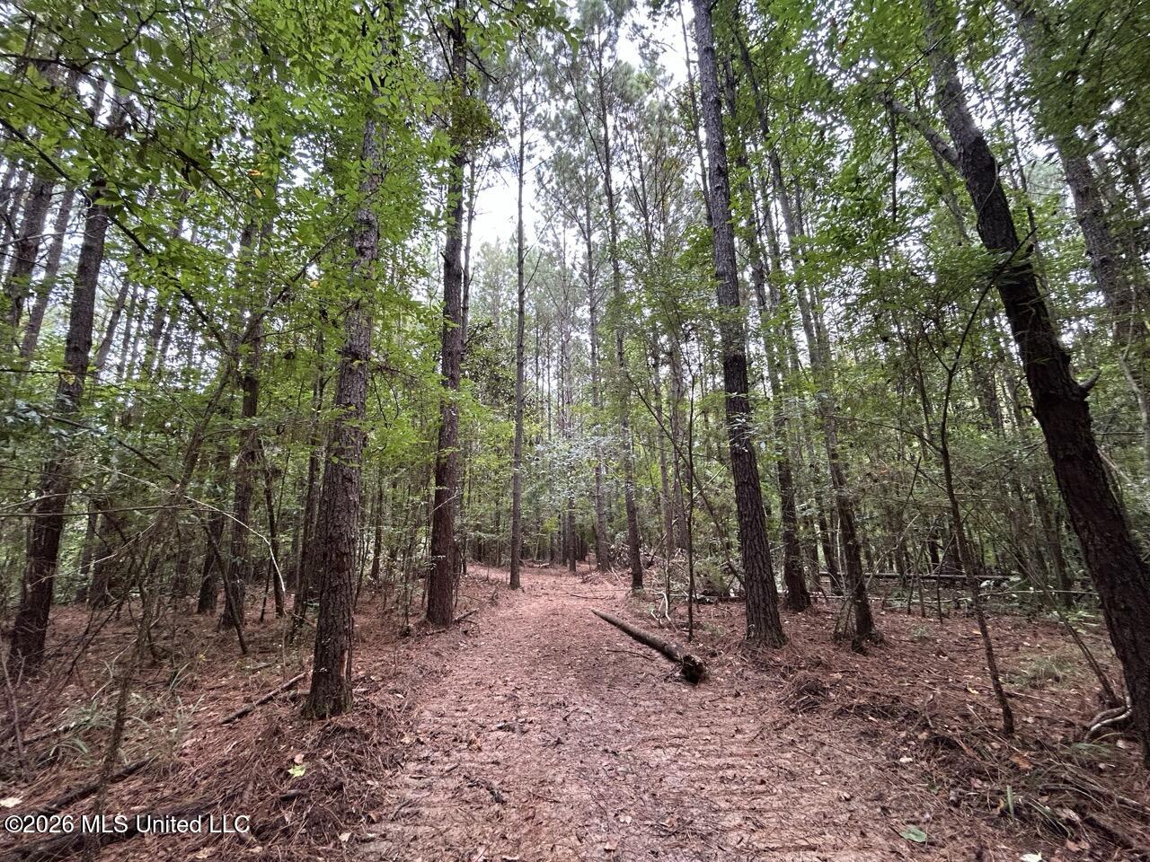 11853 Highway 24 Property Photo 13