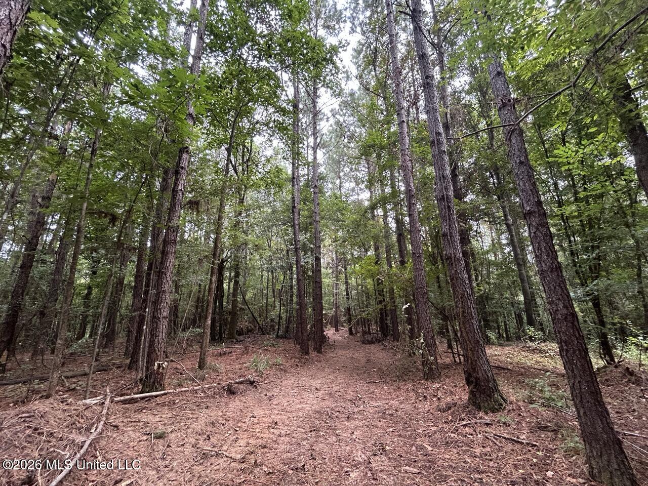11853 Highway 24 Property Photo 14
