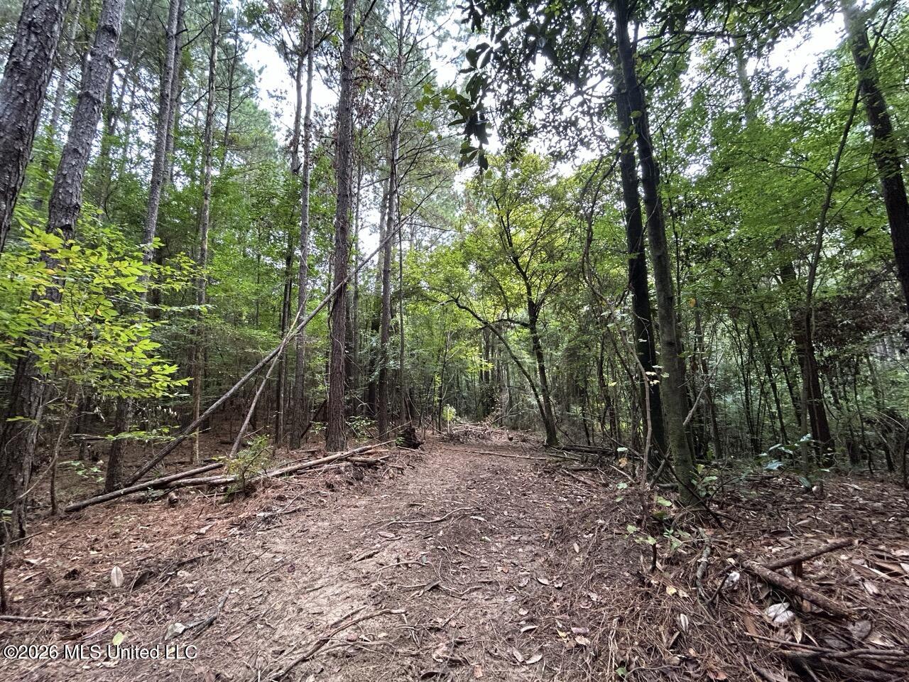 11853 Highway 24 Property Photo 15