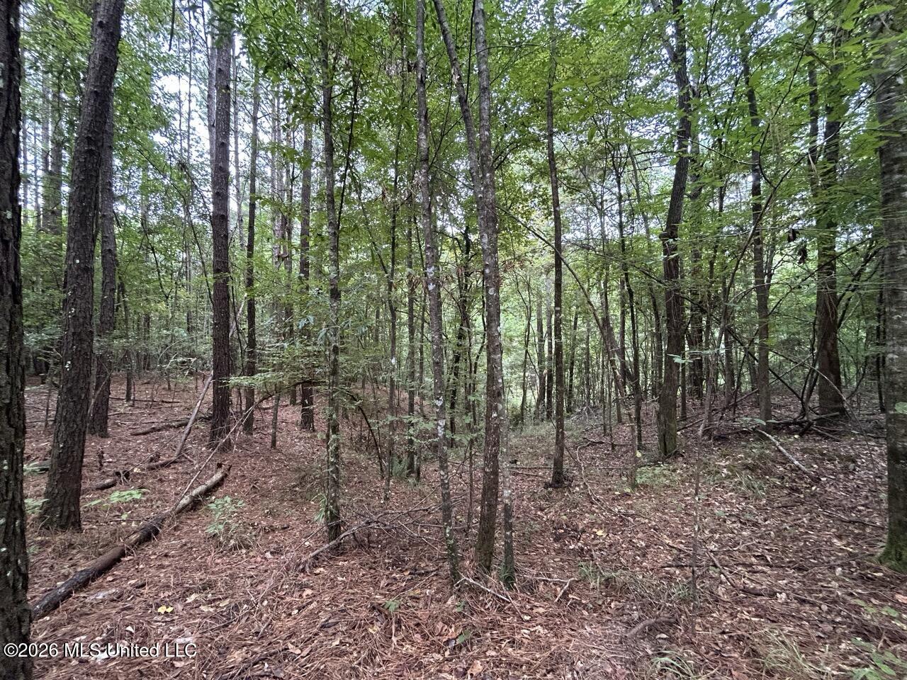 11853 Highway 24 Property Photo 16