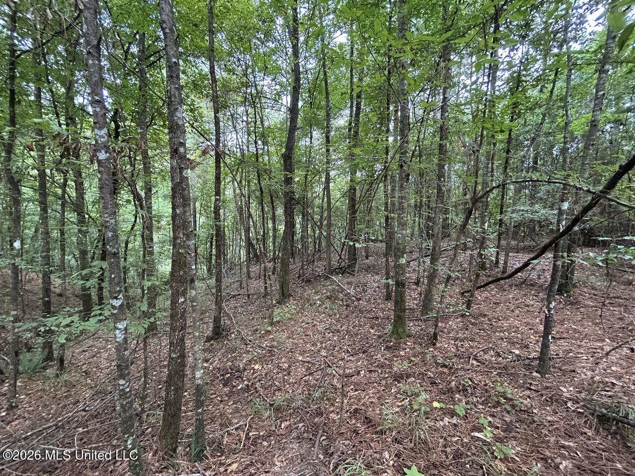11853 Highway 24 Property Photo 17