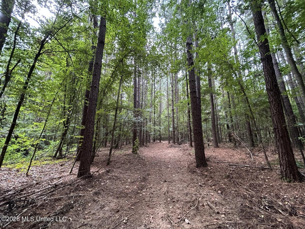 11853 Highway 24 Property Photo 18