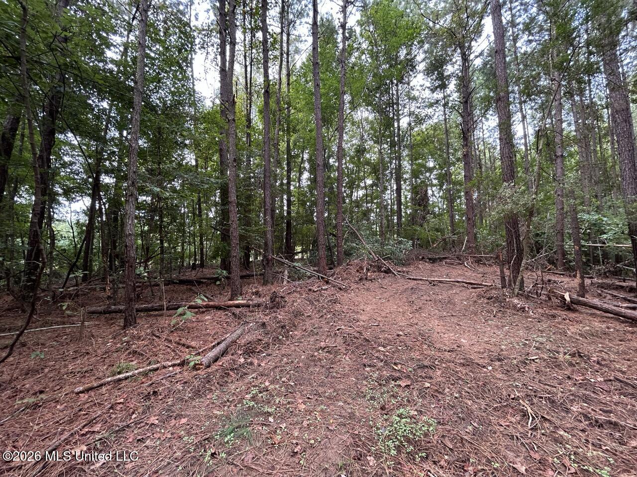 11853 Highway 24 Property Photo 21