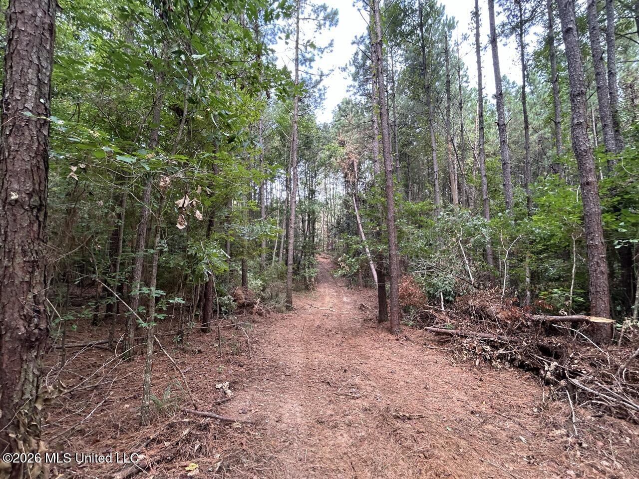 11853 Highway 24 Property Photo 22