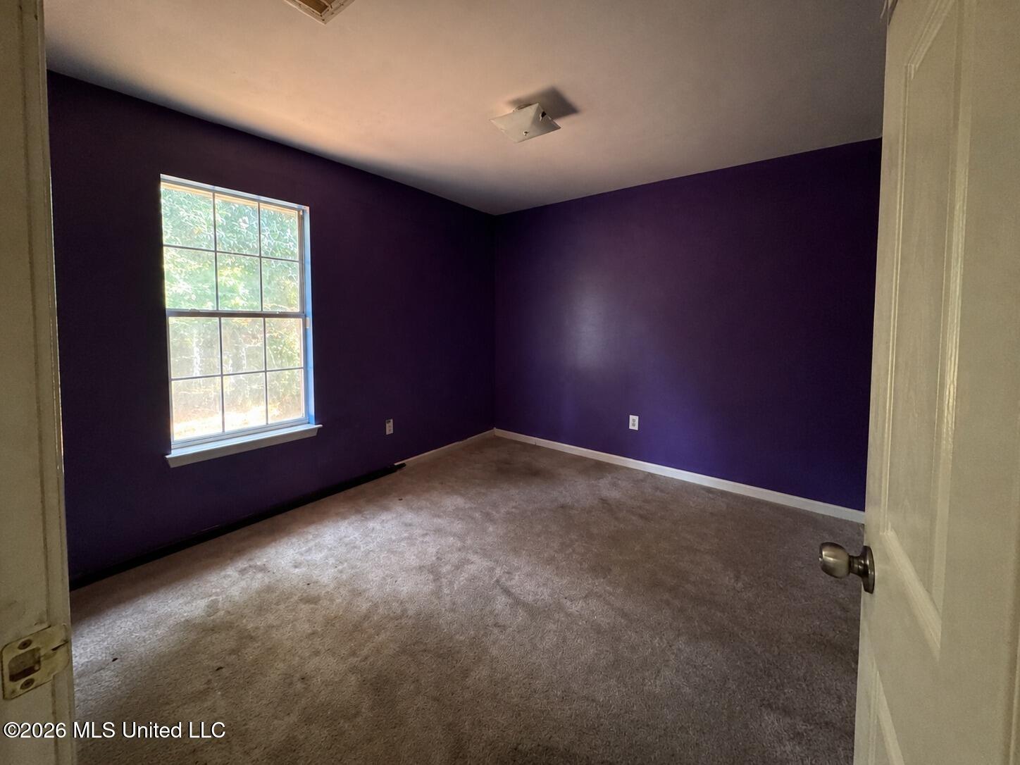 505 Fairview Cove Property Photo 7