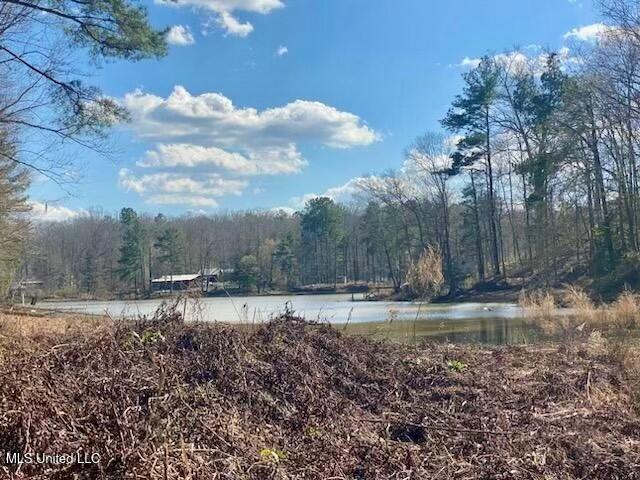 Lot 12 Turkey Creek Road Property Photo 3