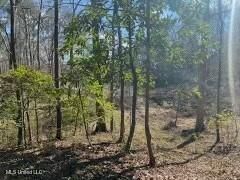 Lot 12 Turkey Creek Road Property Photo 4
