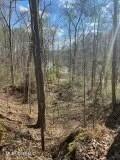 Lot 12 Turkey Creek Road Property Photo 5