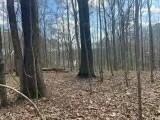 Lot 12 Turkey Creek Road Property Photo 6