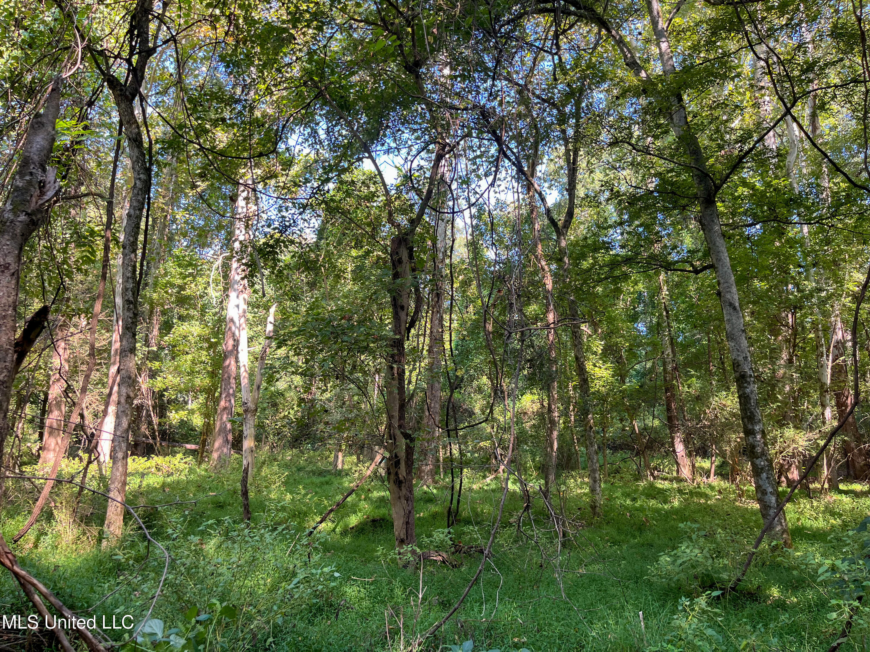 Moonmist Drive Property Photo 8