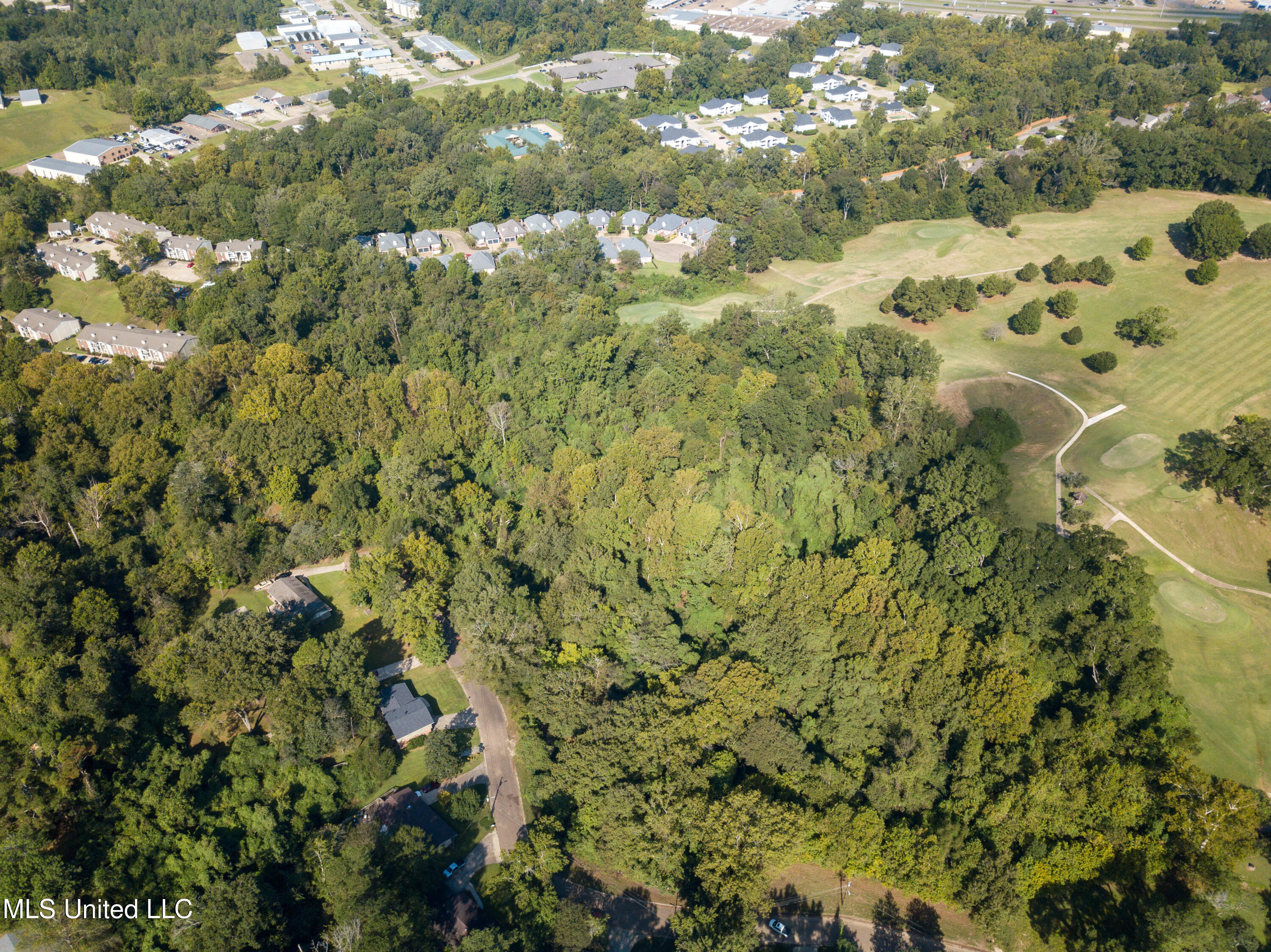 Moonmist Drive Property Photo 12