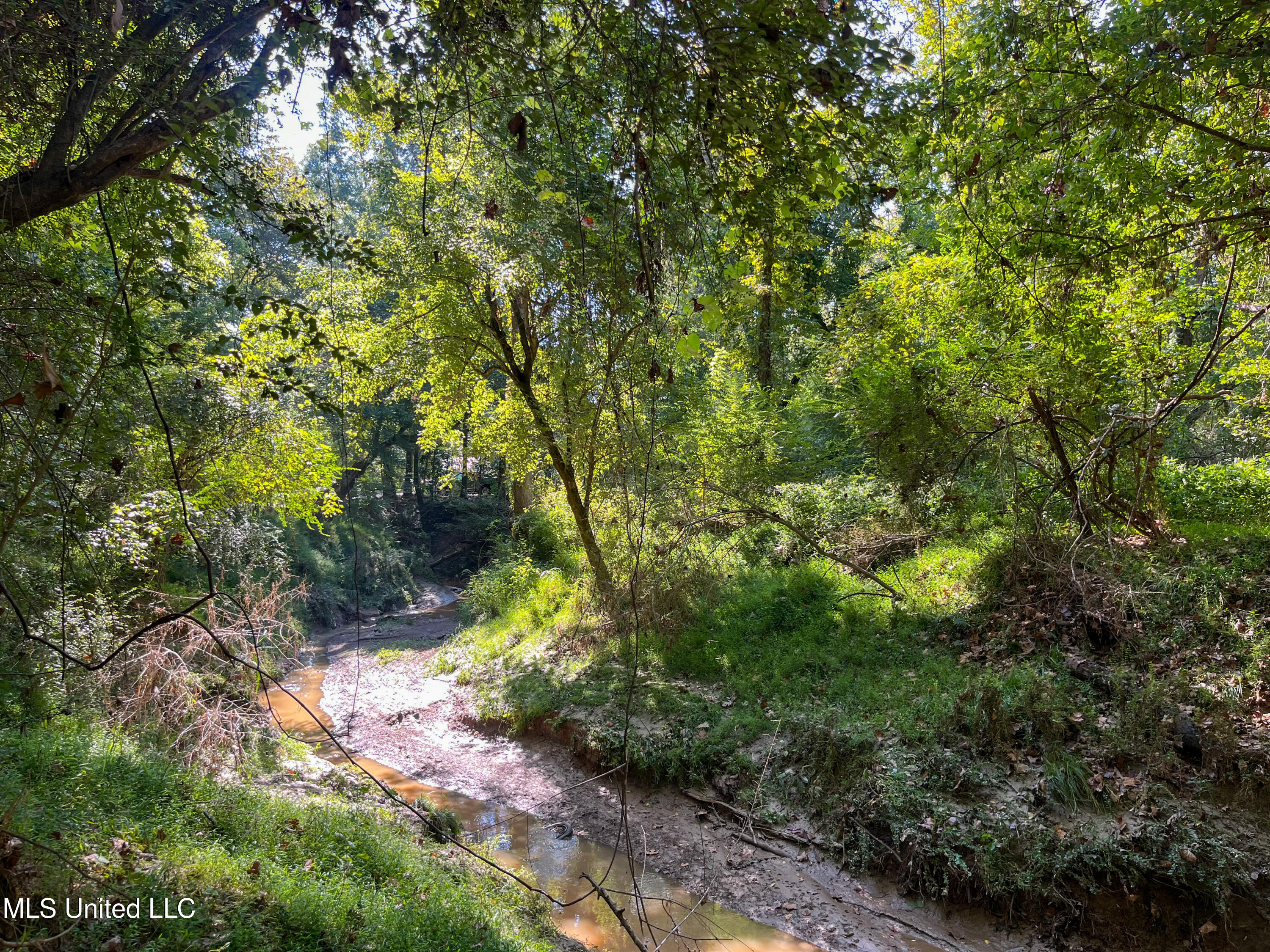 Moonmist Drive Property Photo 14