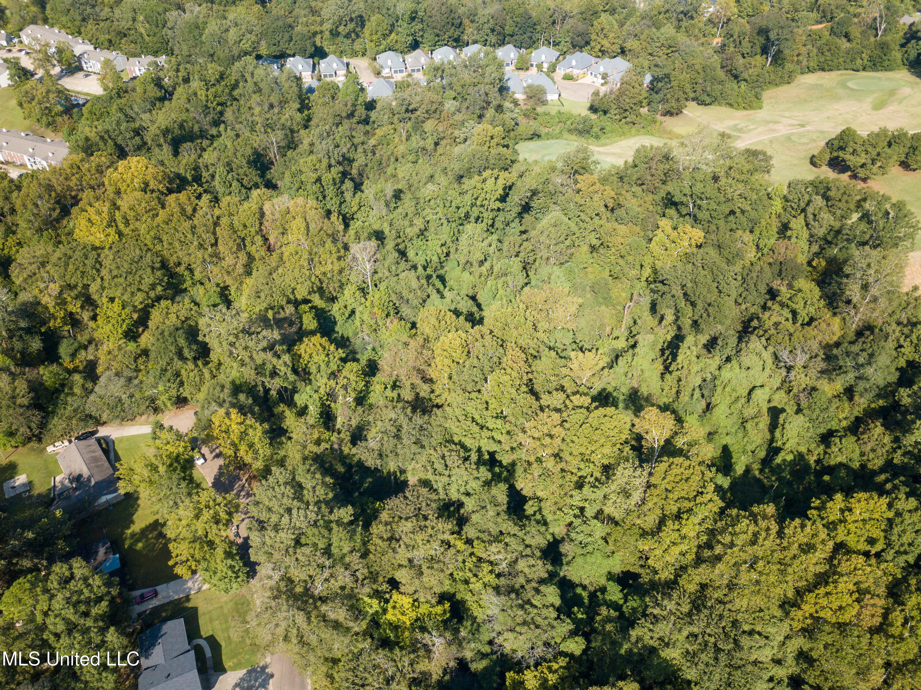 Moonmist Drive Property Photo 15