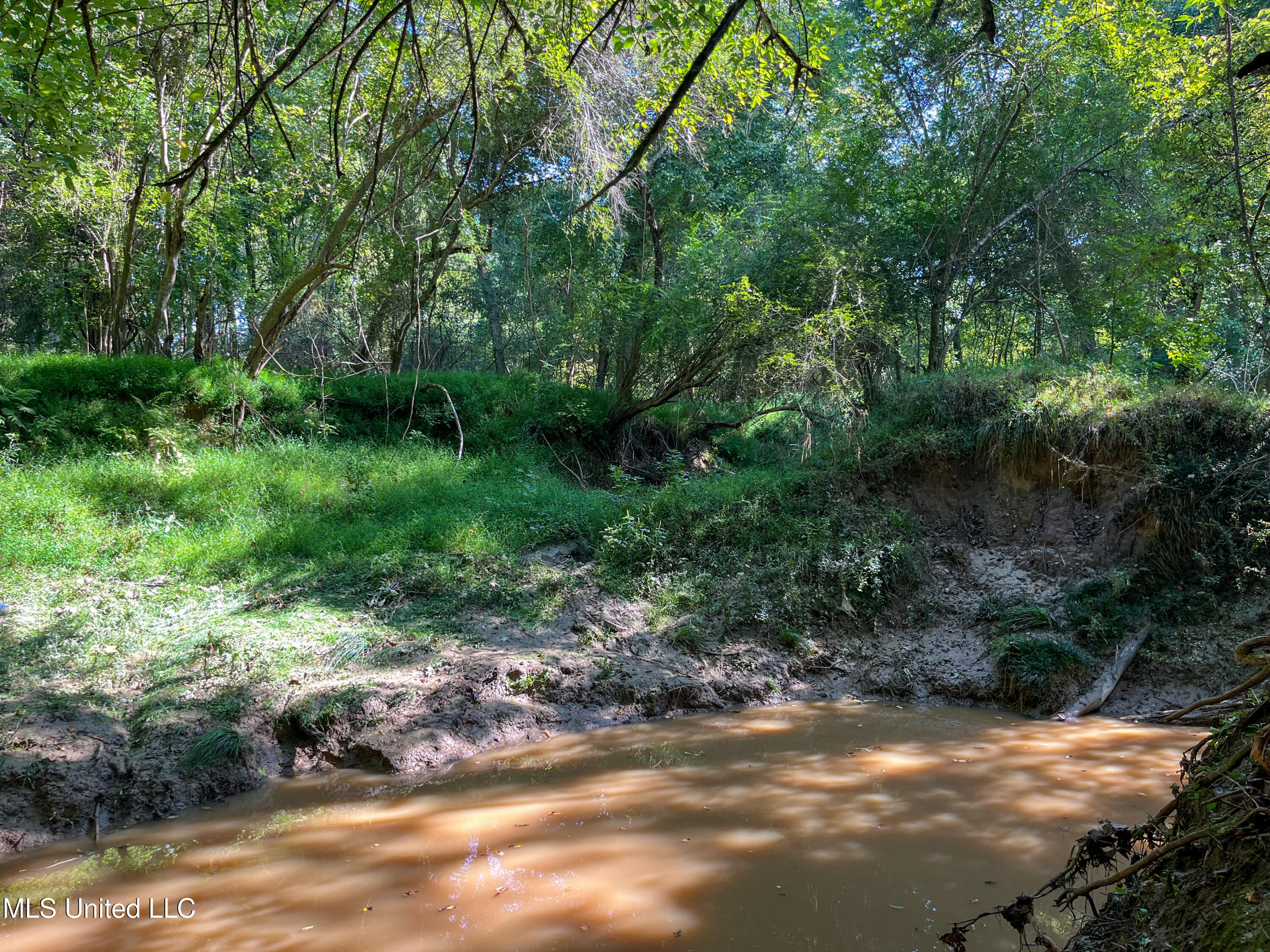 Moonmist Drive Property Photo 16