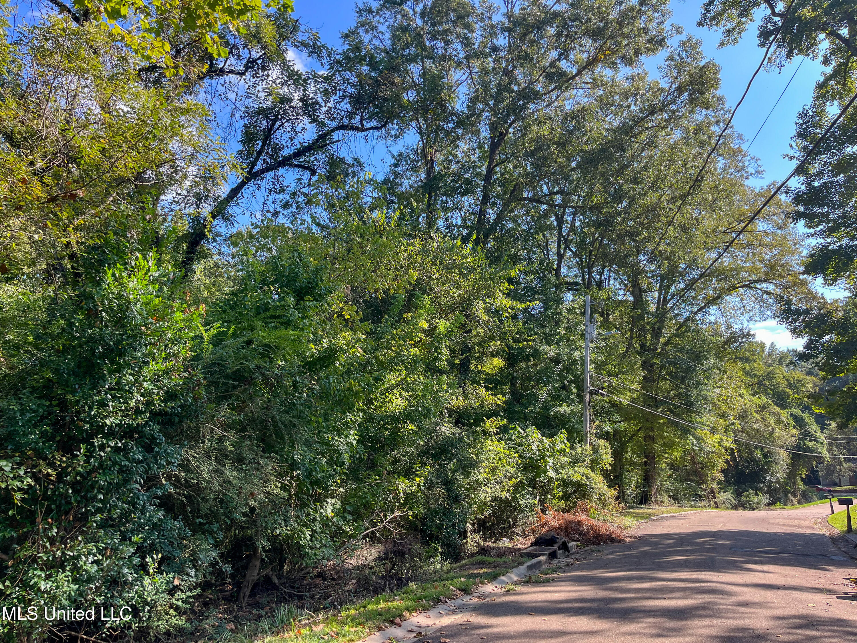 Moonmist Drive Property Photo 17