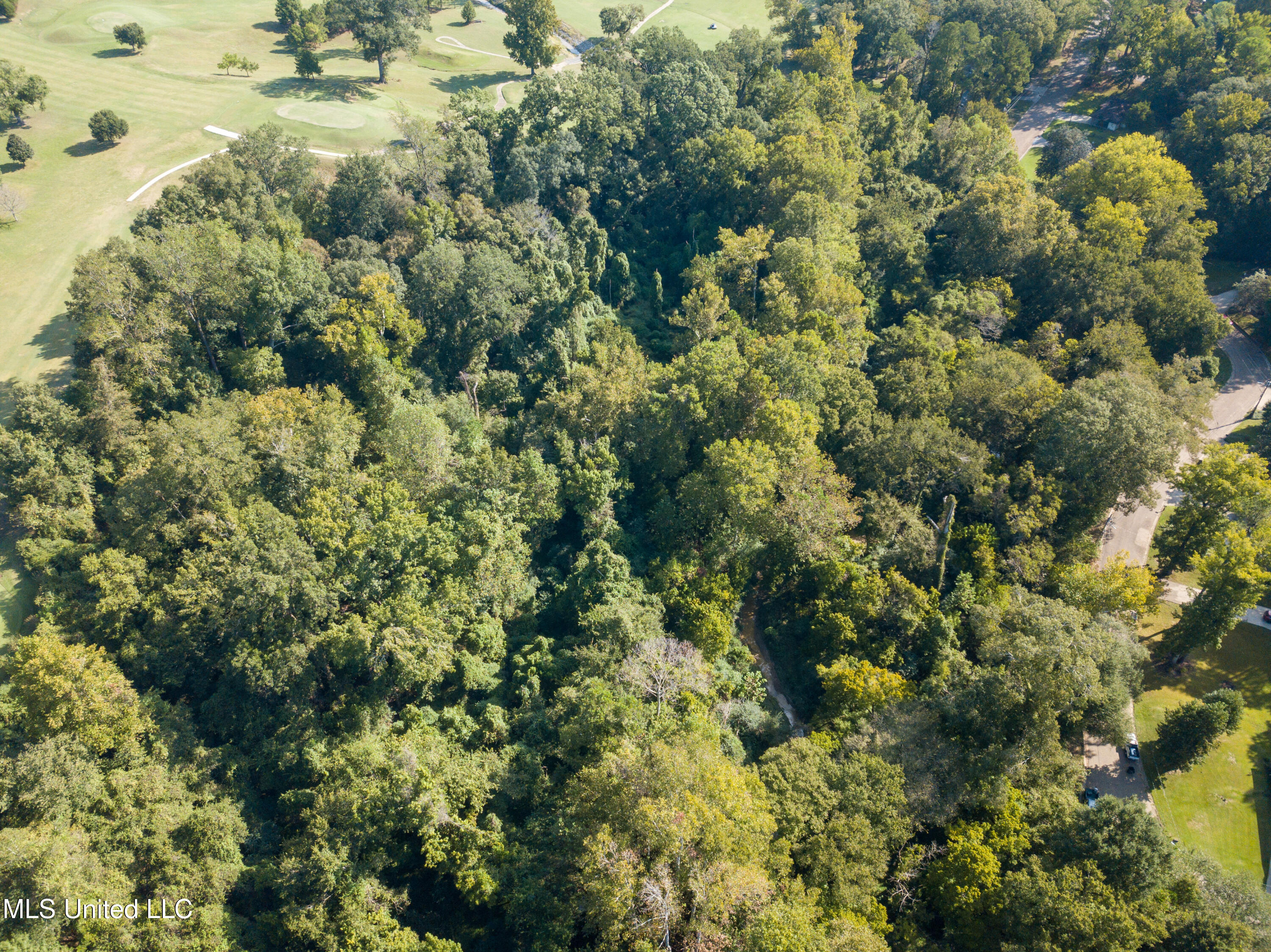 Moonmist Drive Property Photo 18