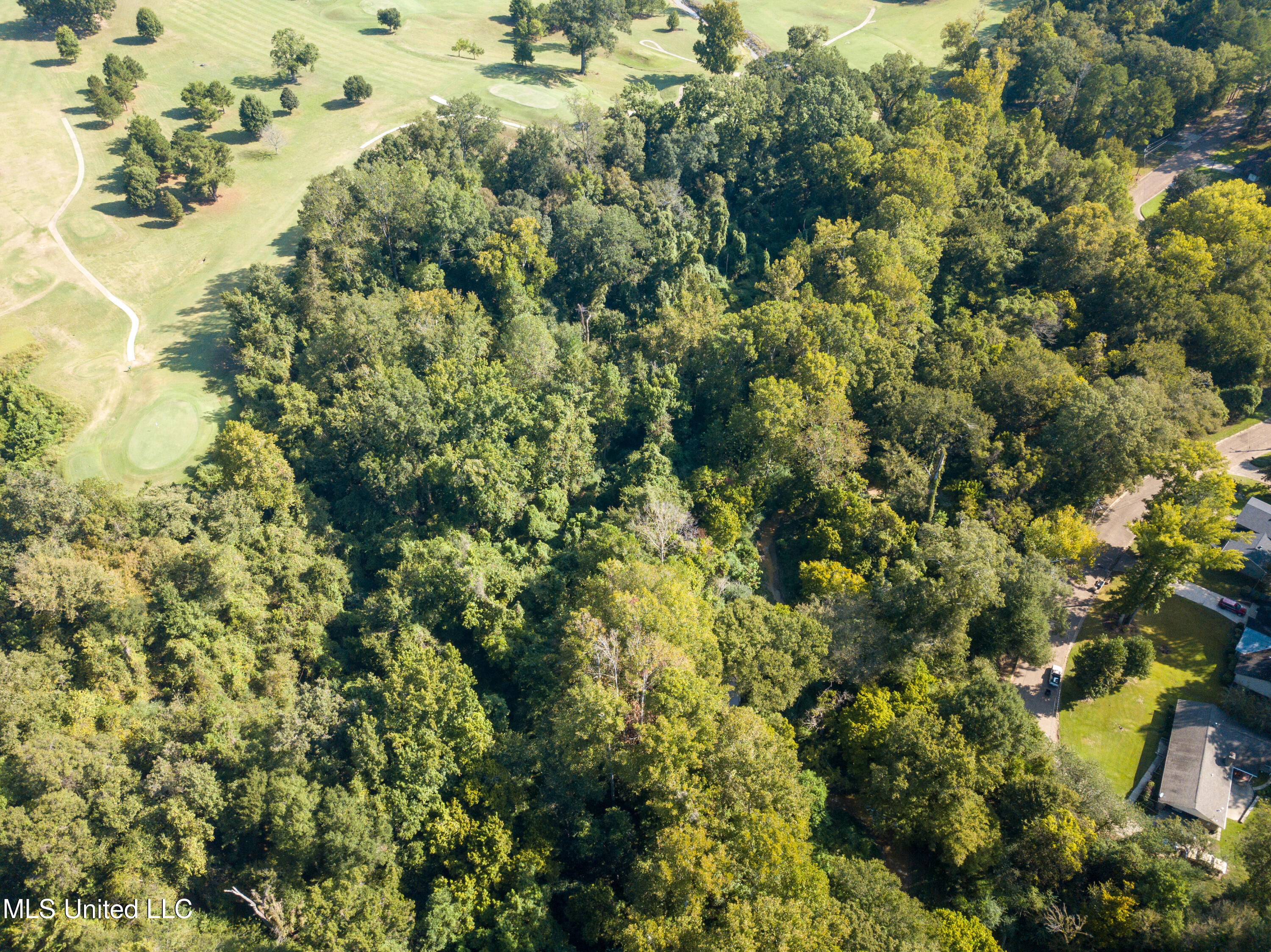 Moonmist Drive Property Photo 20