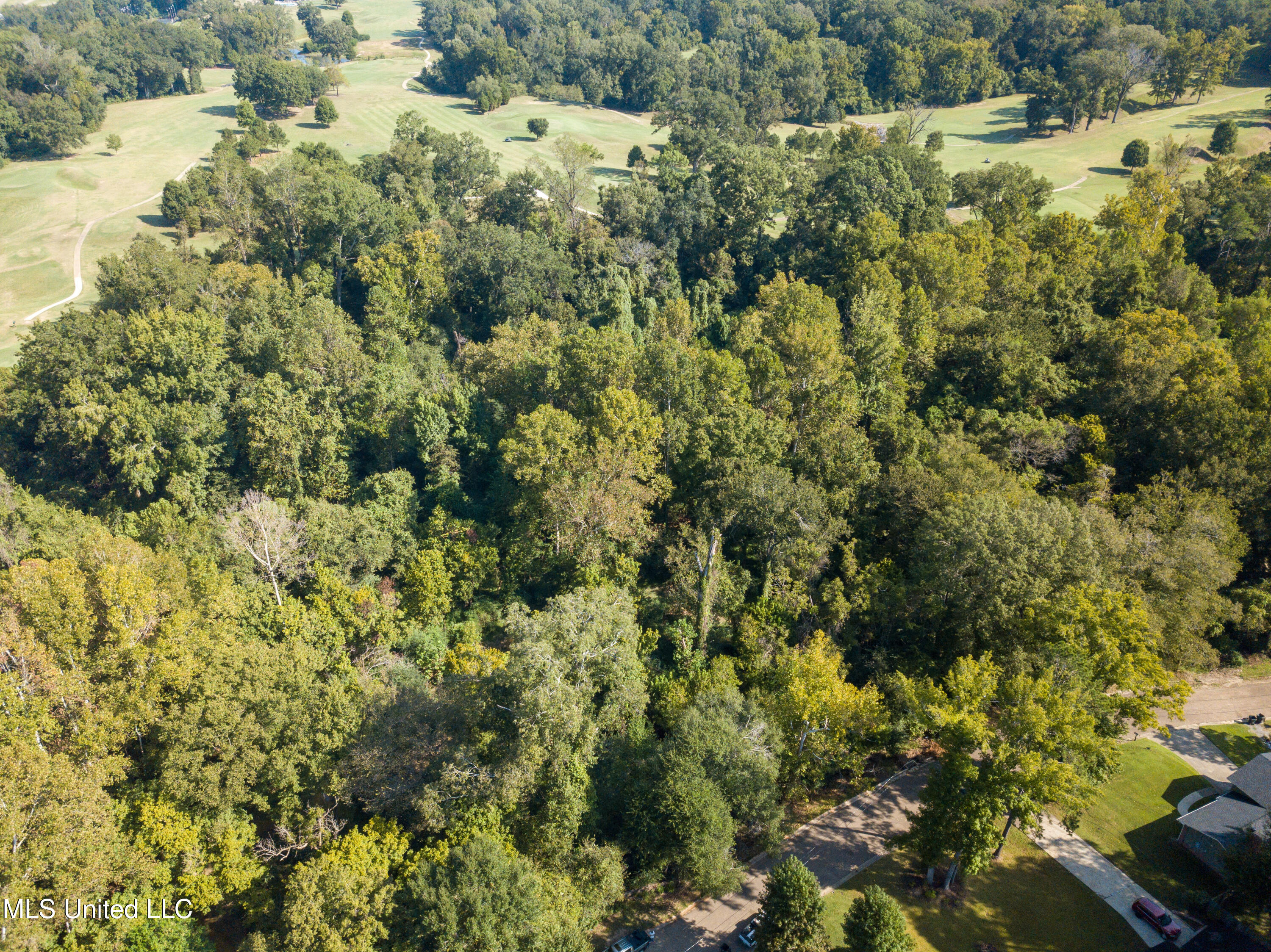 Moonmist Drive Property Photo 21