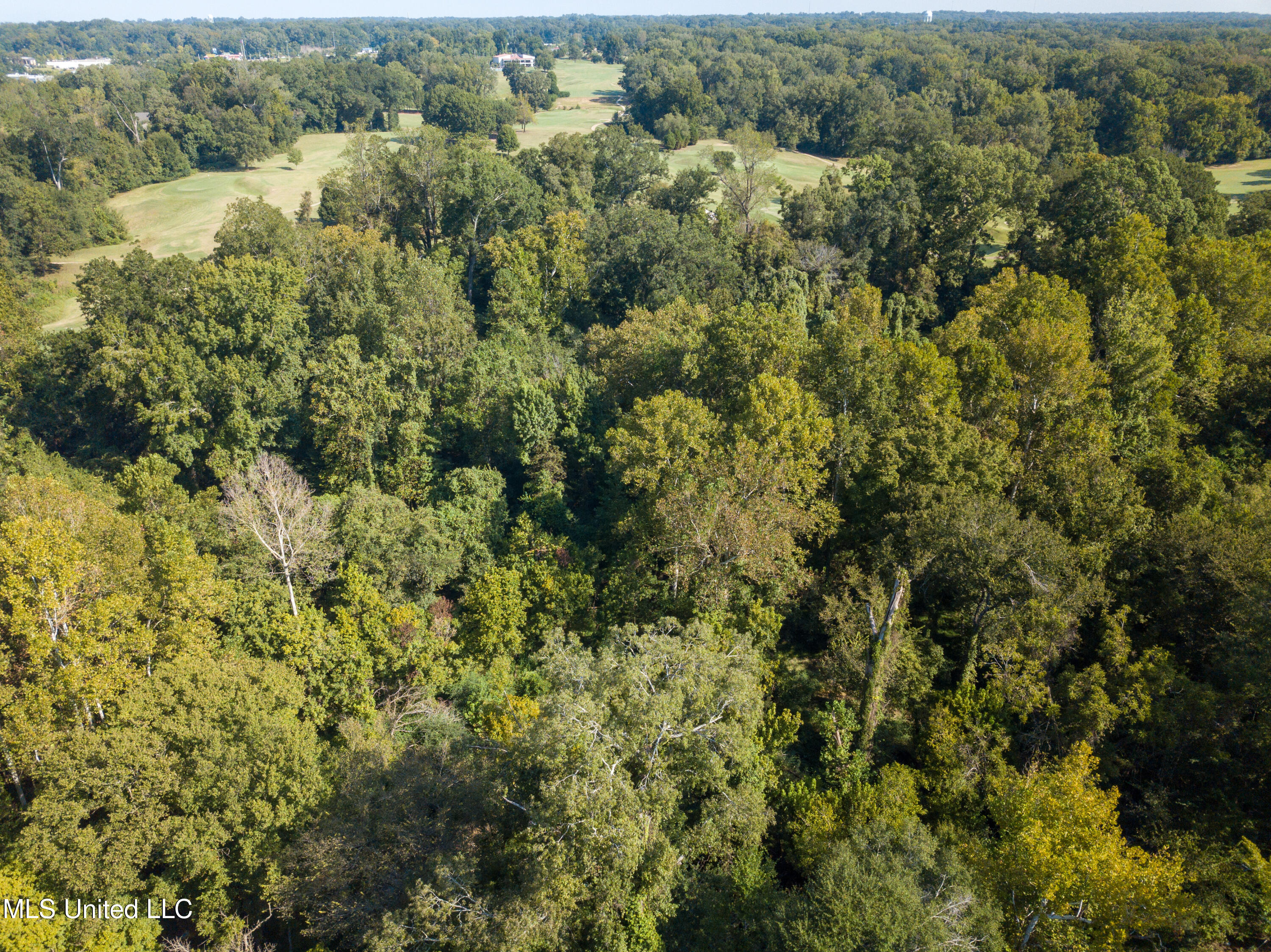 Moonmist Drive Property Photo 22