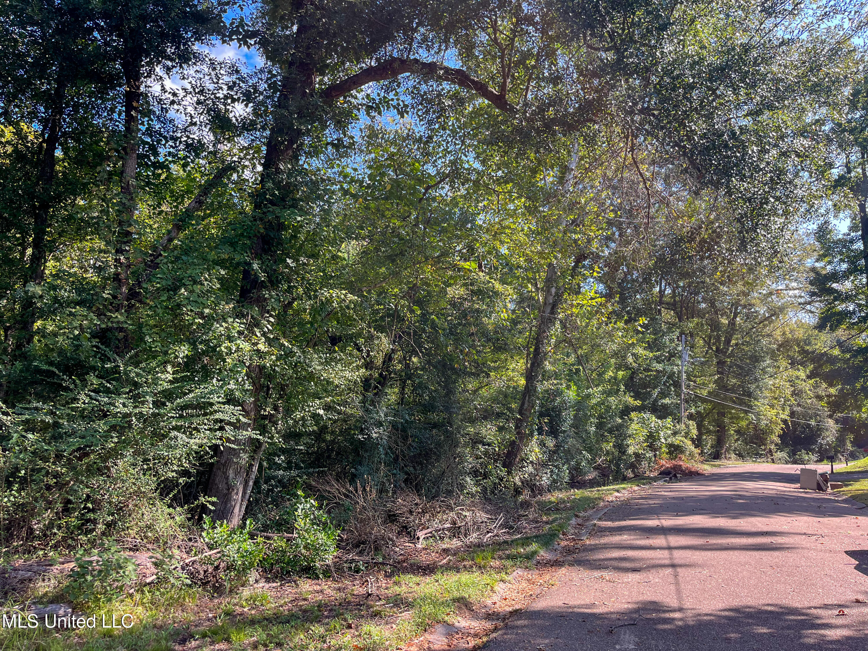Moonmist Drive Property Photo 24