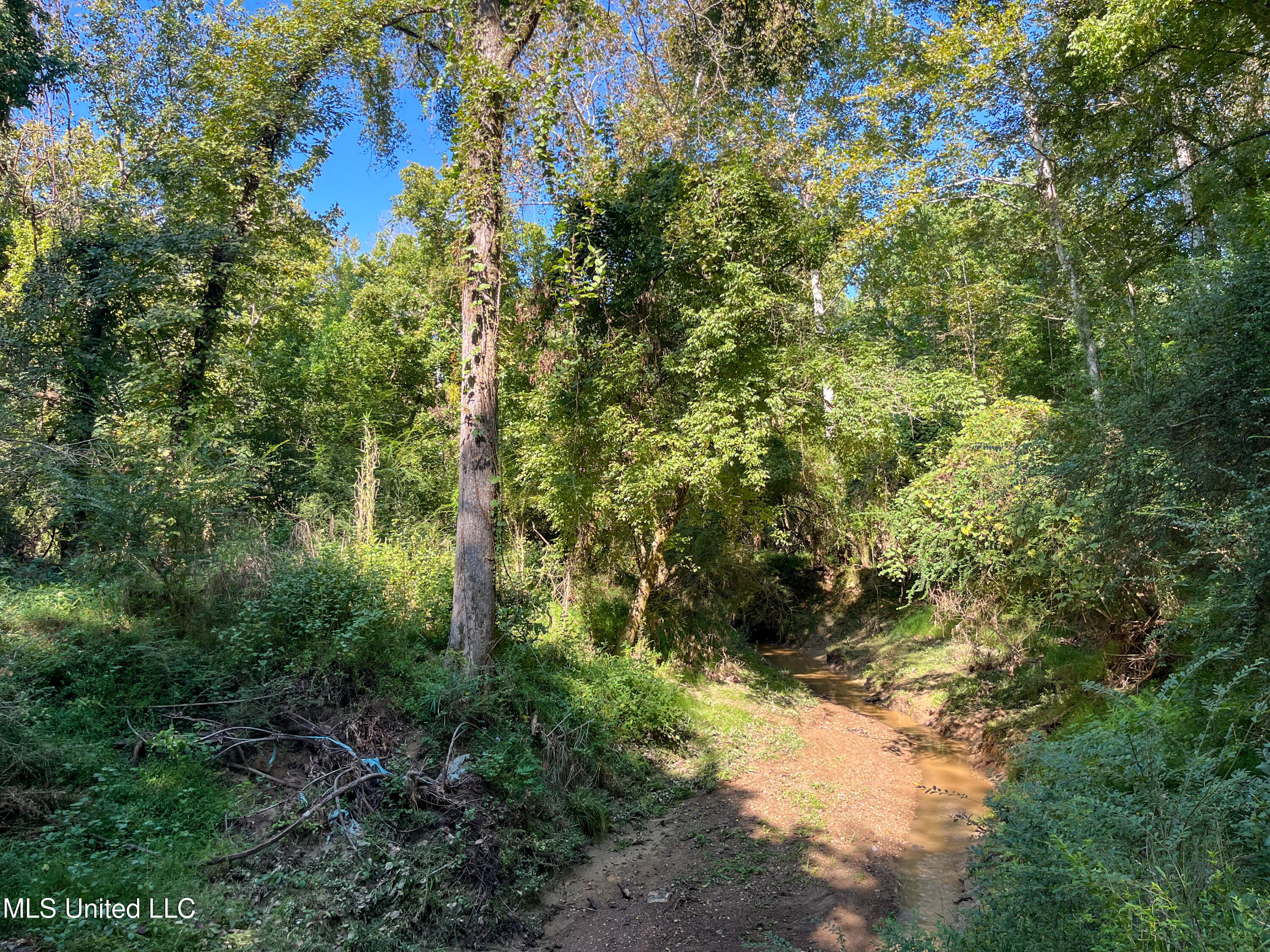 Moonmist Drive Property Photo 26