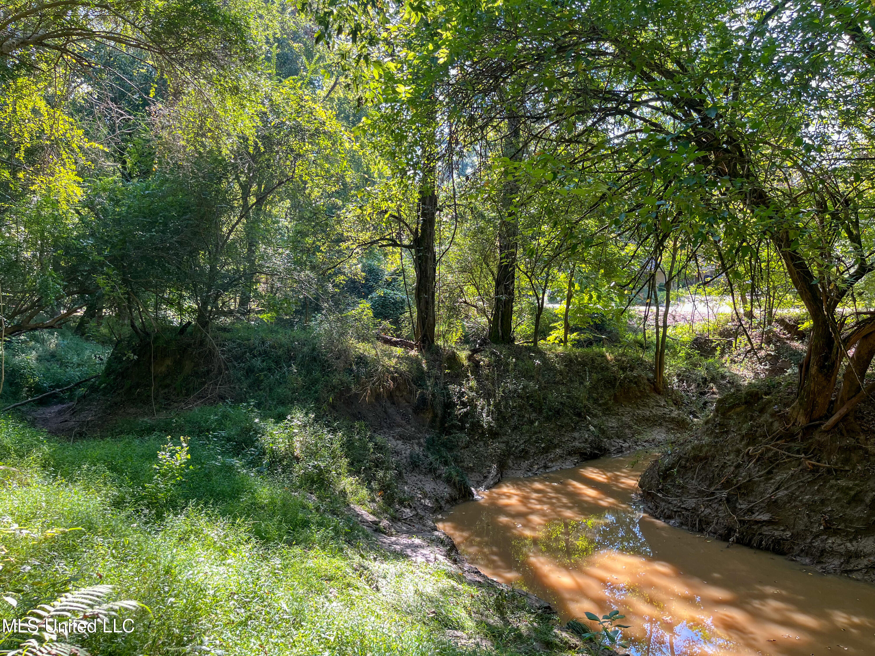 Moonmist Drive Property Photo 32