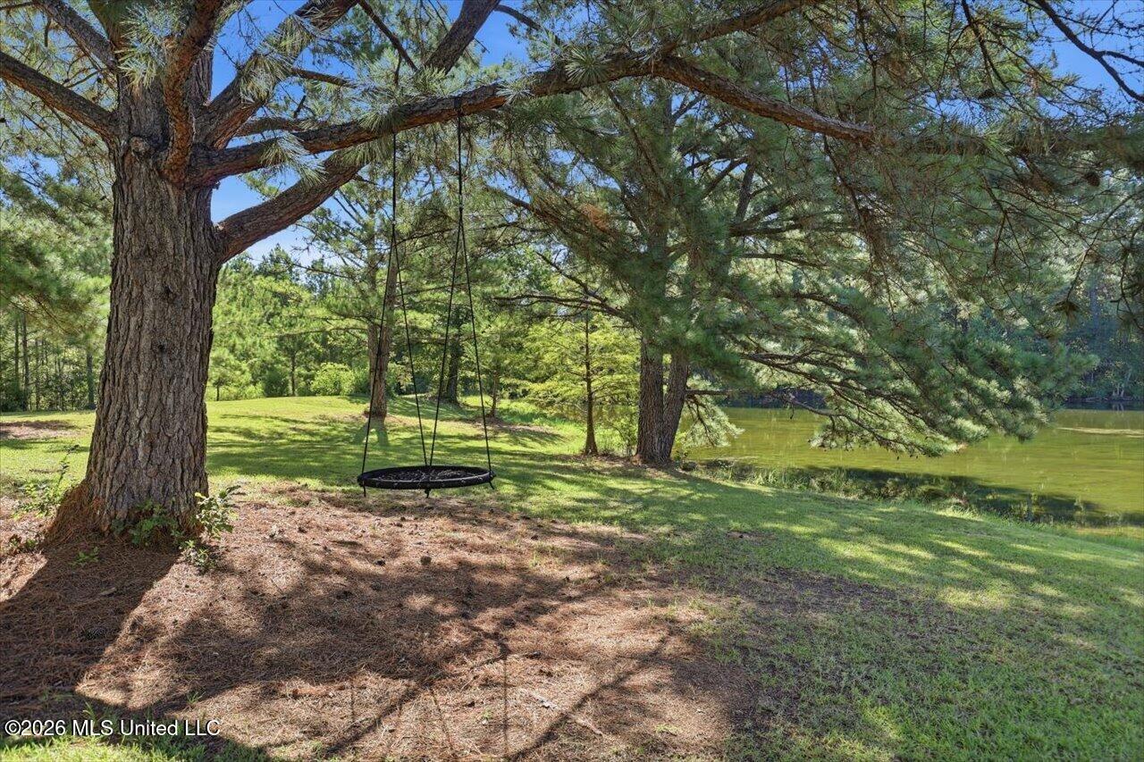 514 North Street Property Photo 61