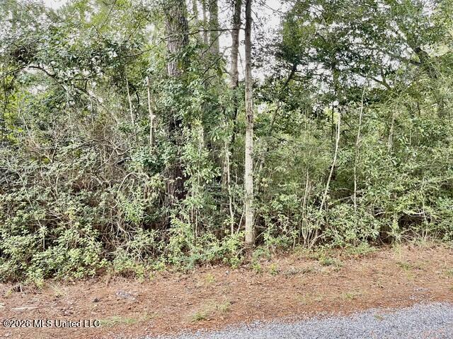 Flurry Drive Property Photo 13