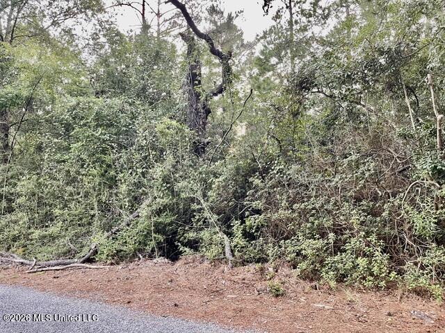 Flurry Drive Property Photo 16