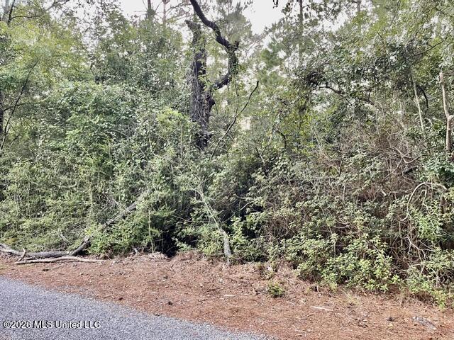 Flurry Drive Property Photo 17