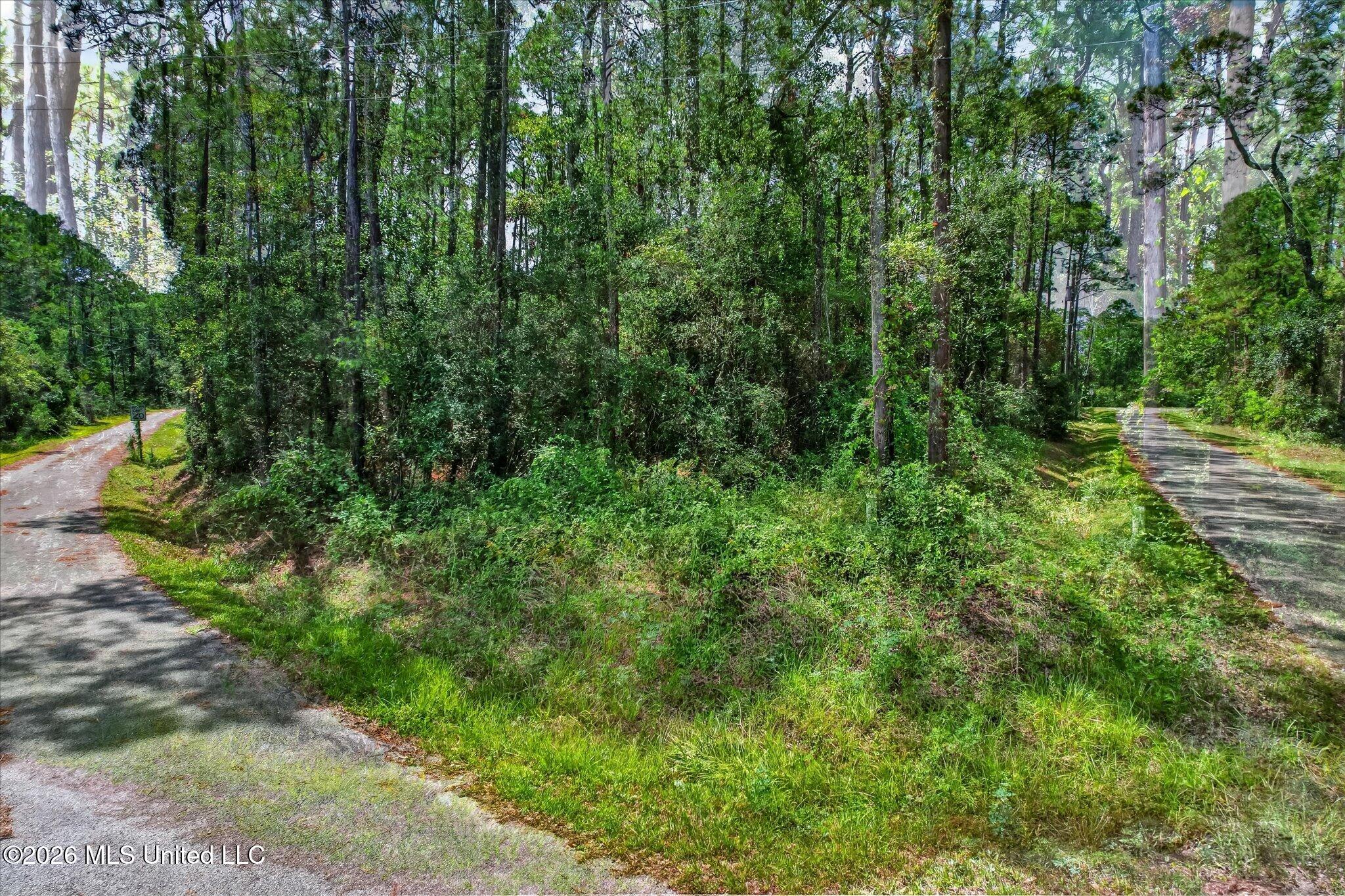 Havana Boulevard Property Photo 11