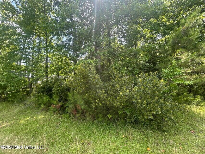 00 Pine Tree Road Property Photo 1